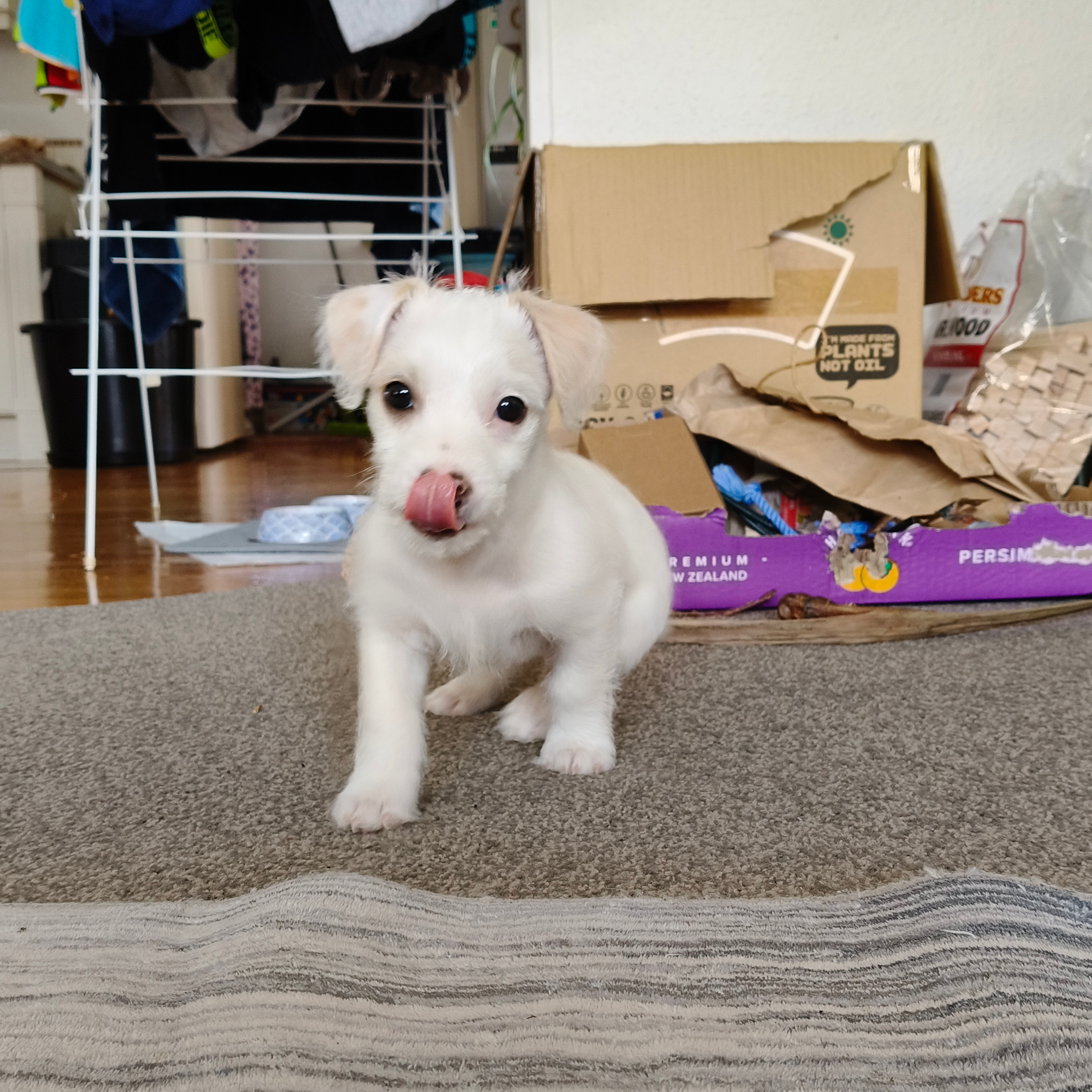 Eugene
