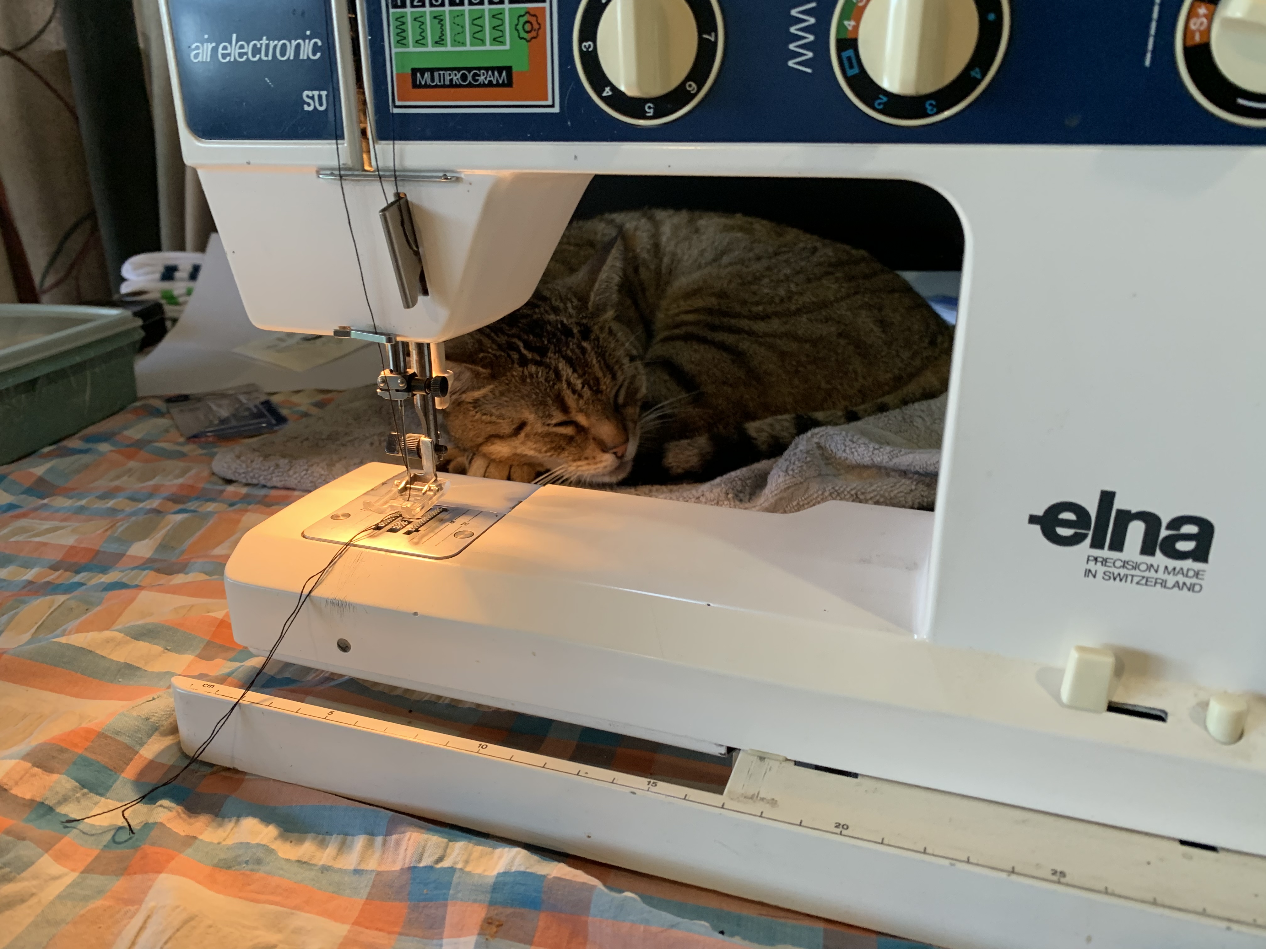 image-8