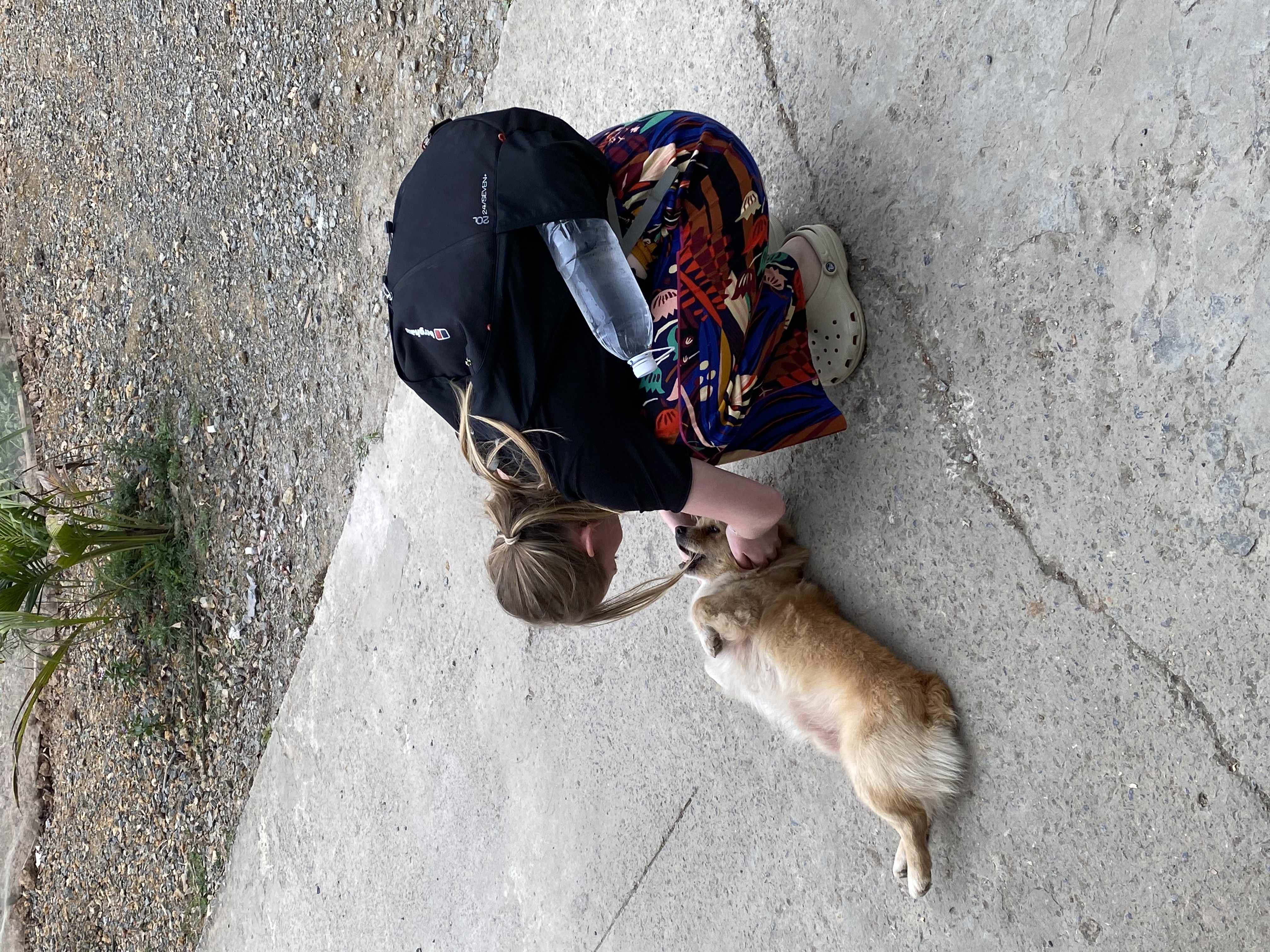 image-8