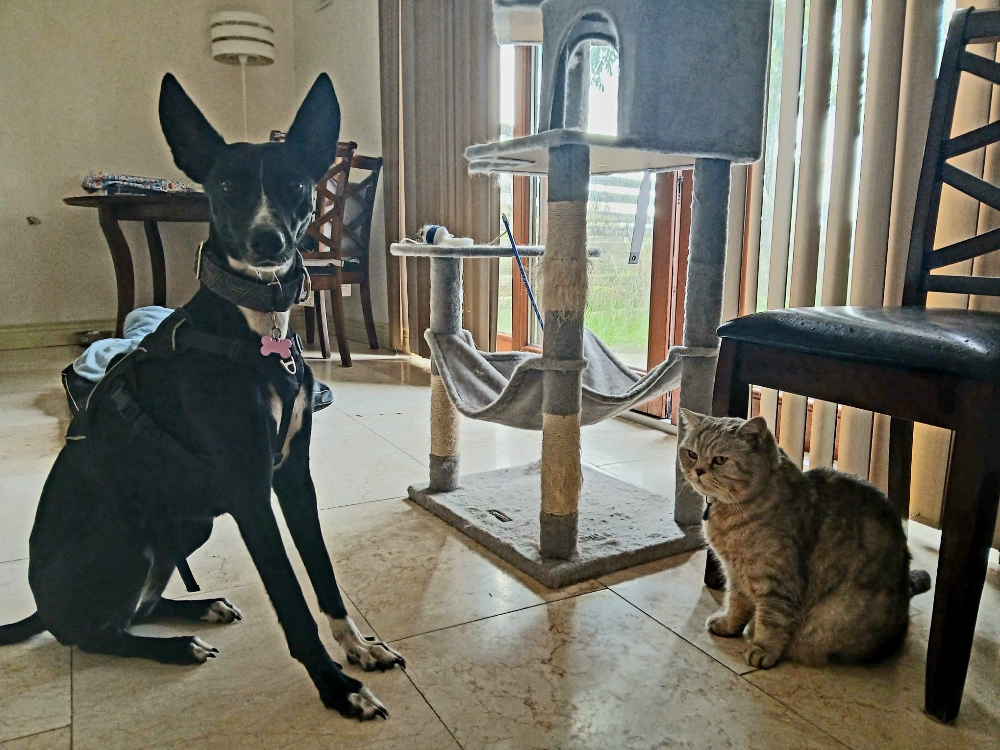 image-4