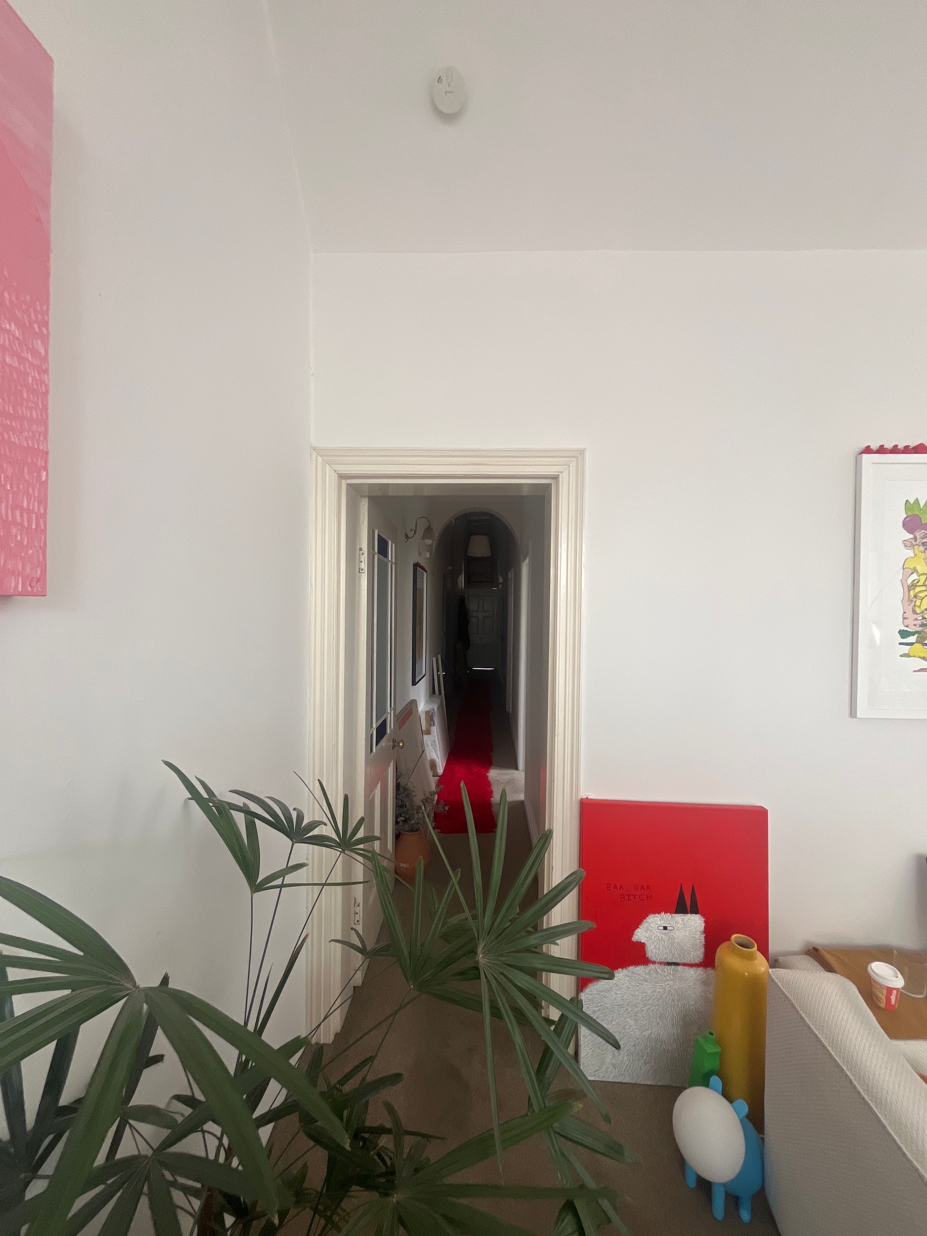 image-10