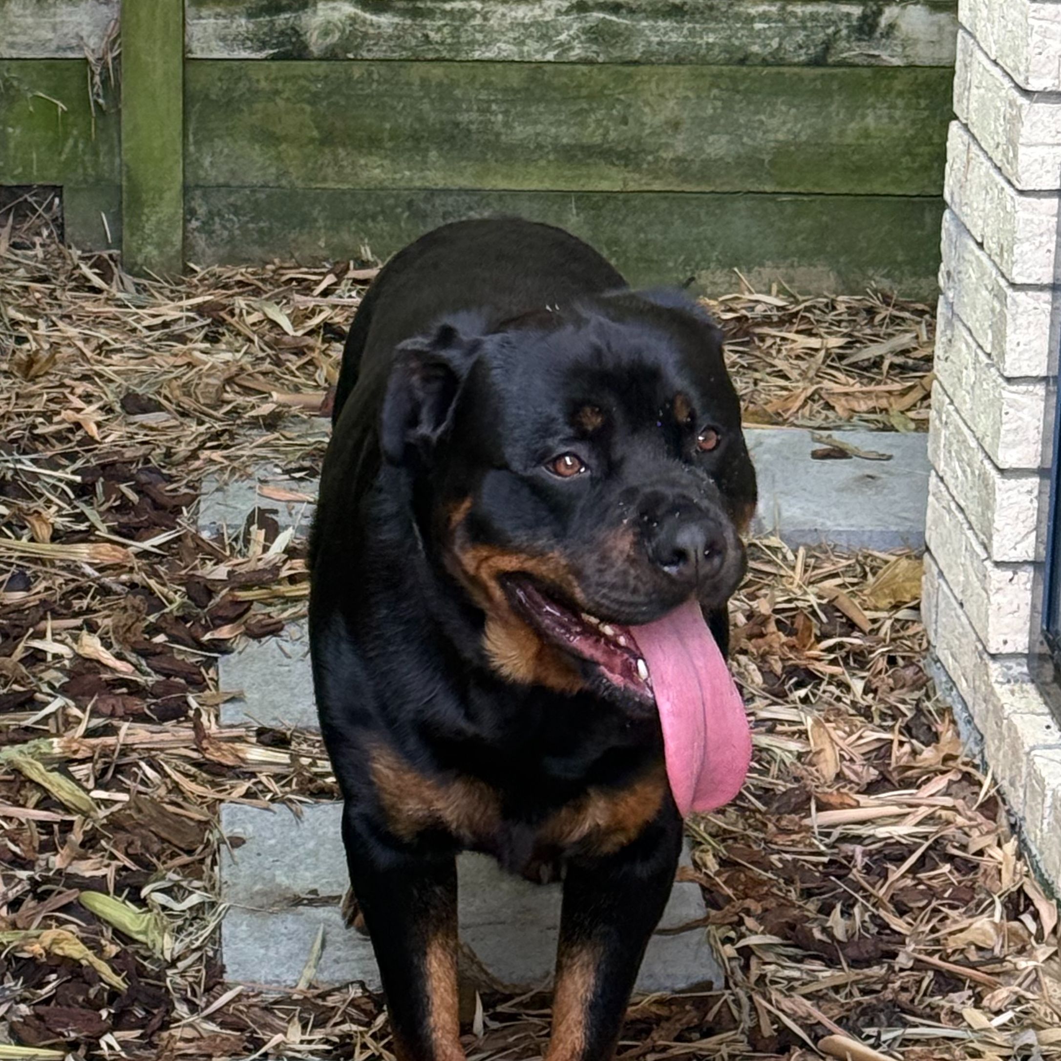 Max