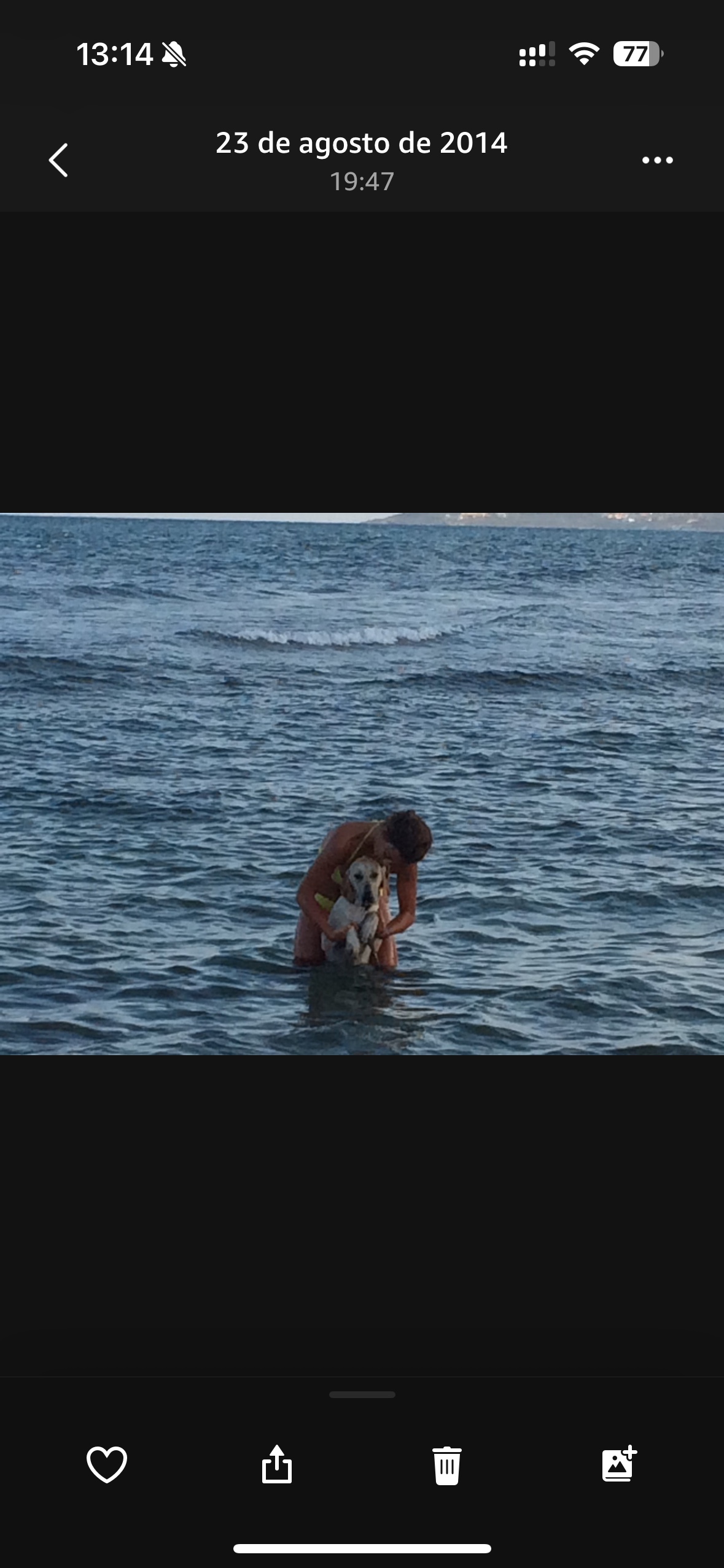 image-5