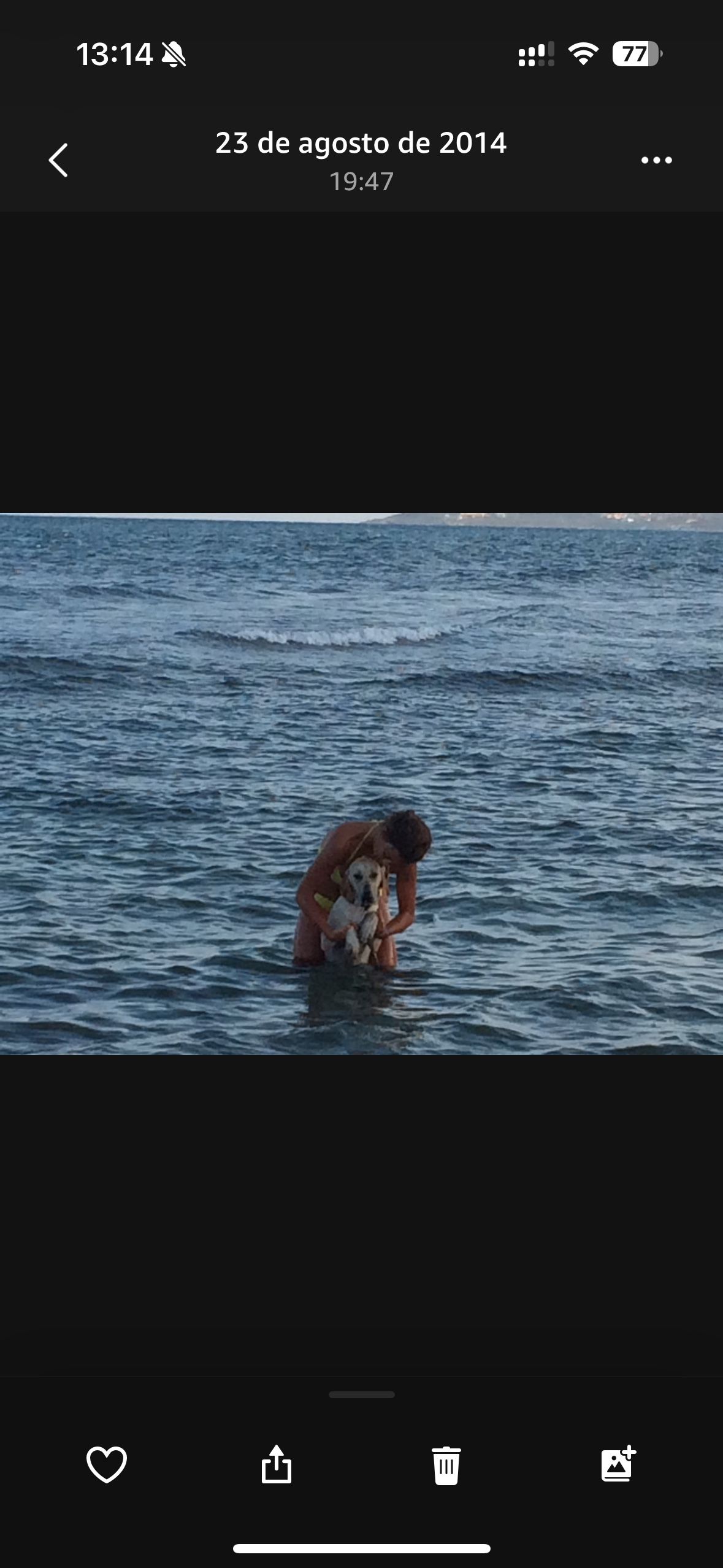 image-5