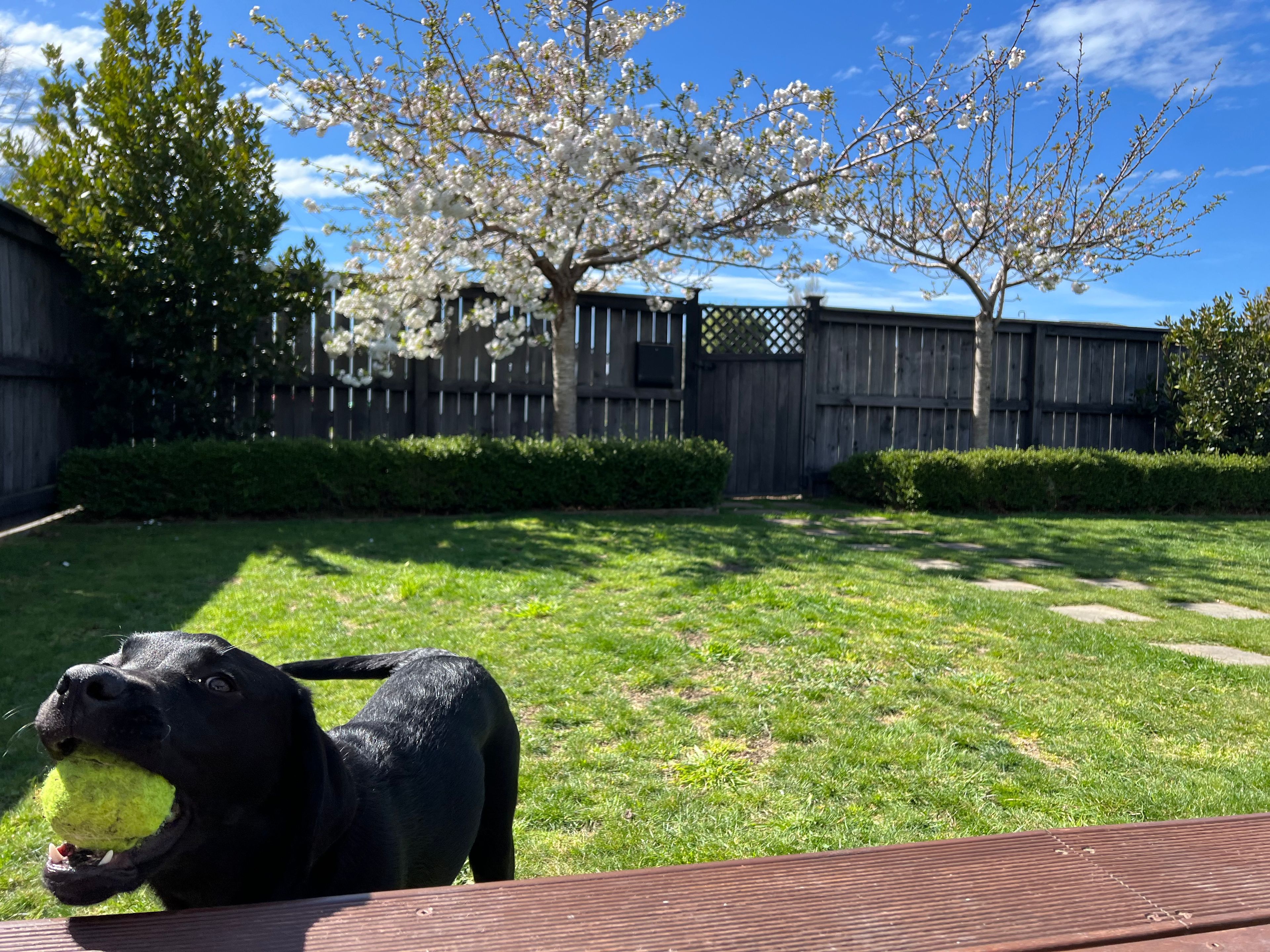 image-13