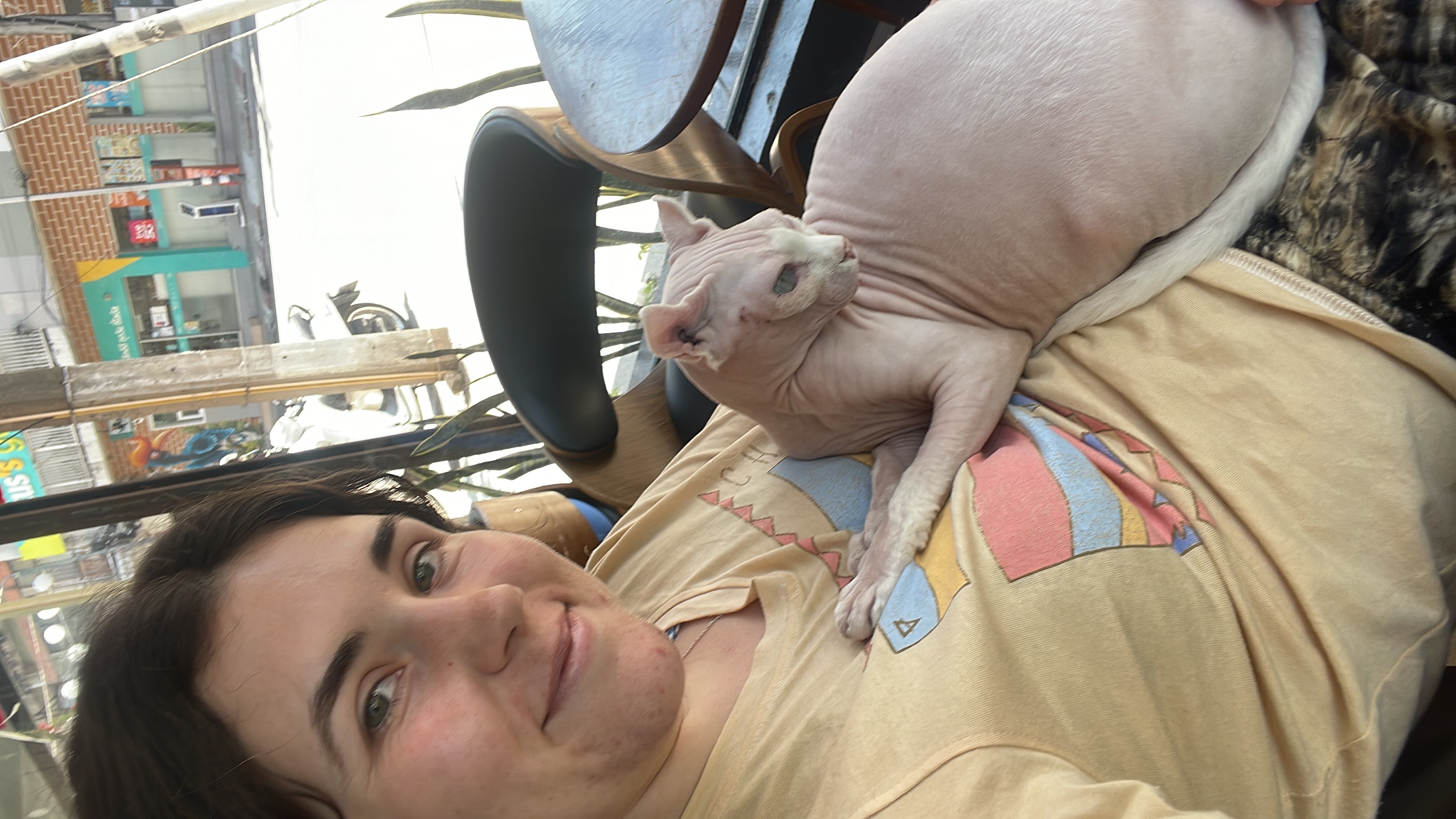 image-4
