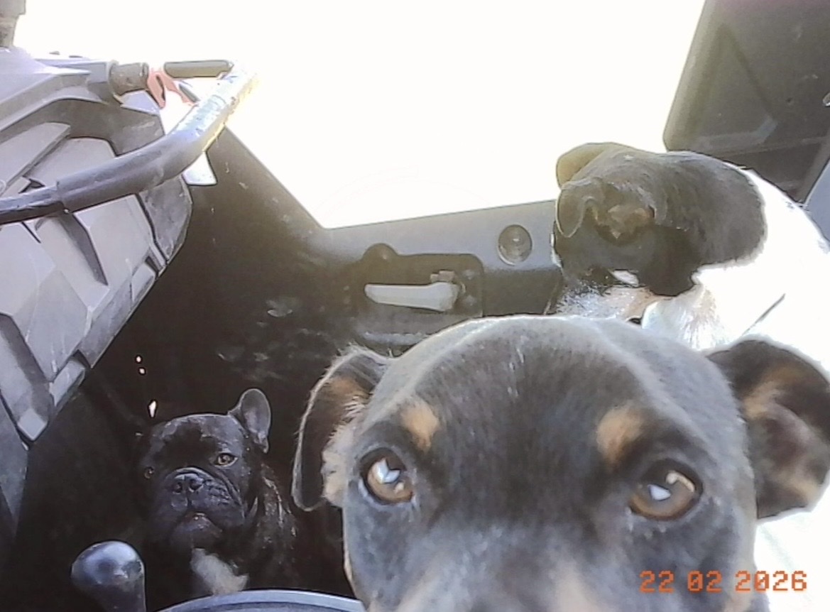 image-5