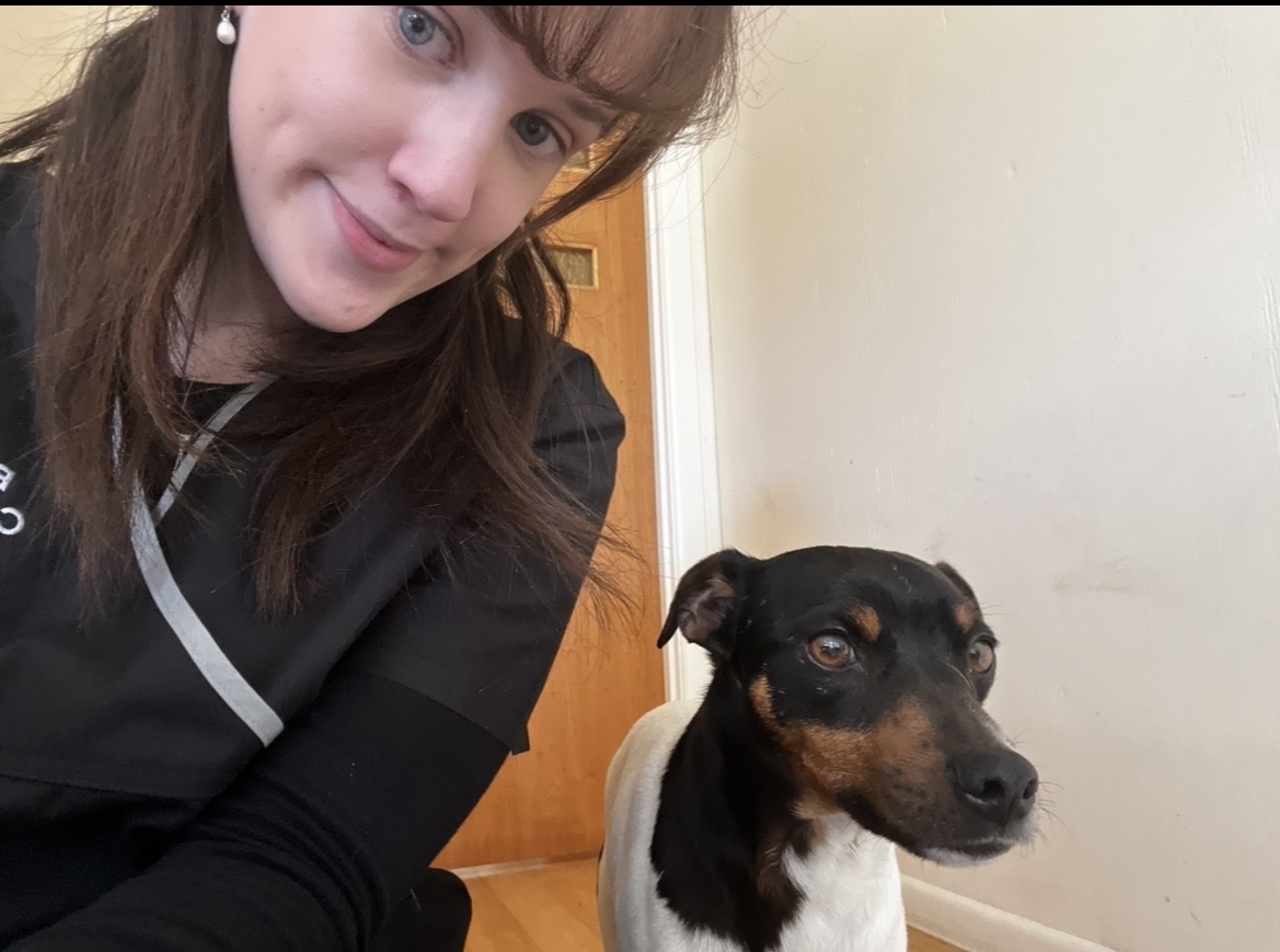 image-7