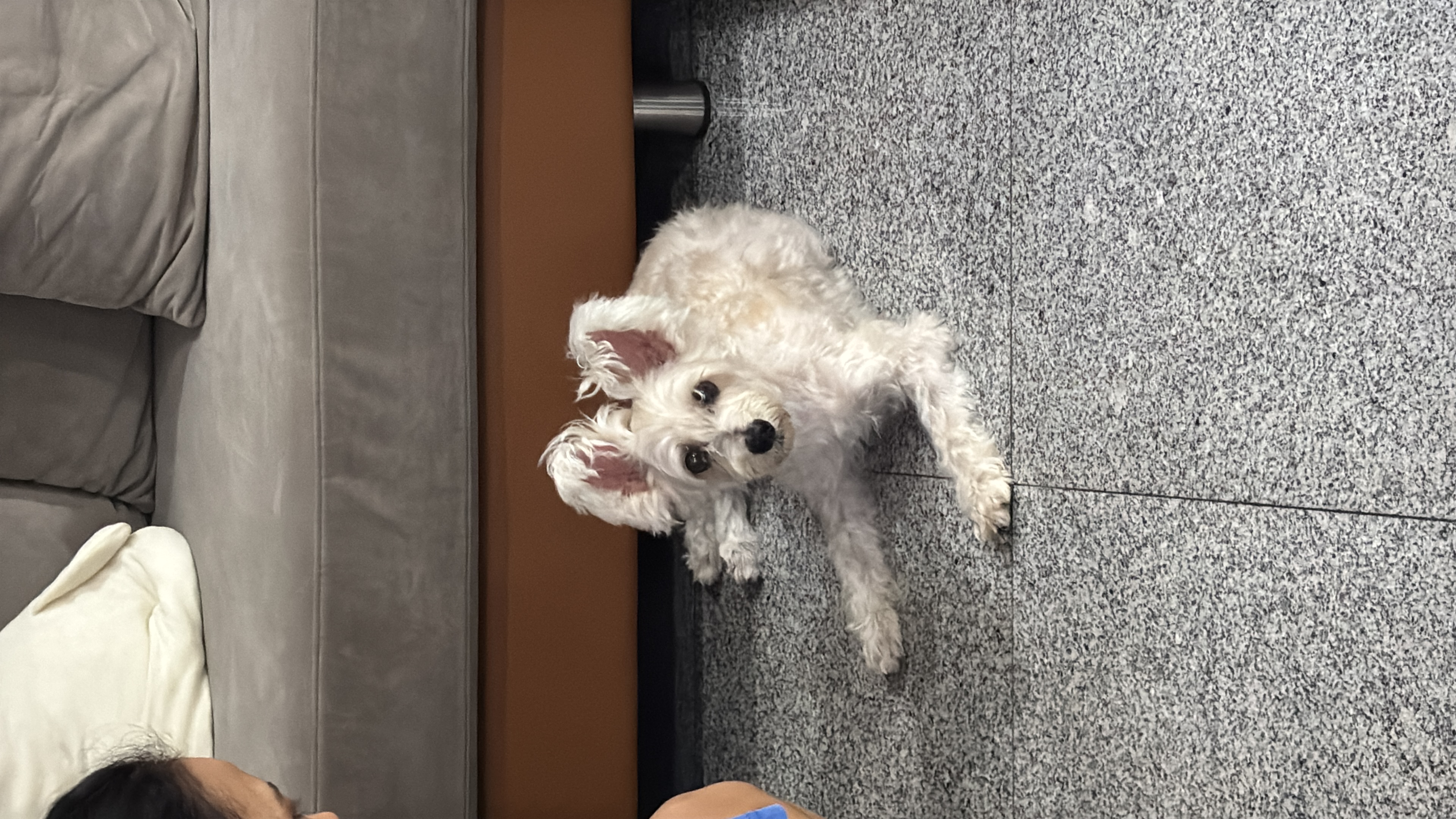 image-9