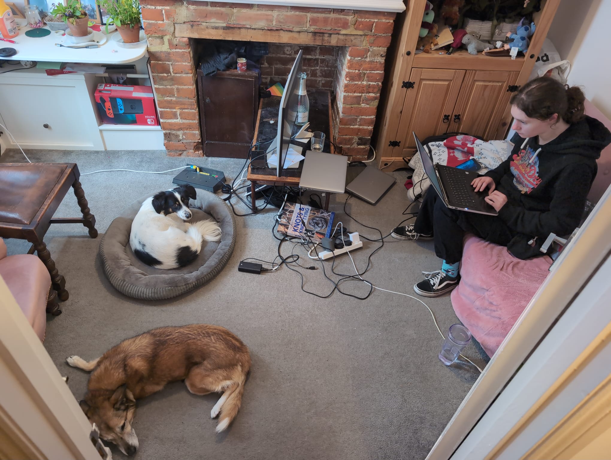 image-14