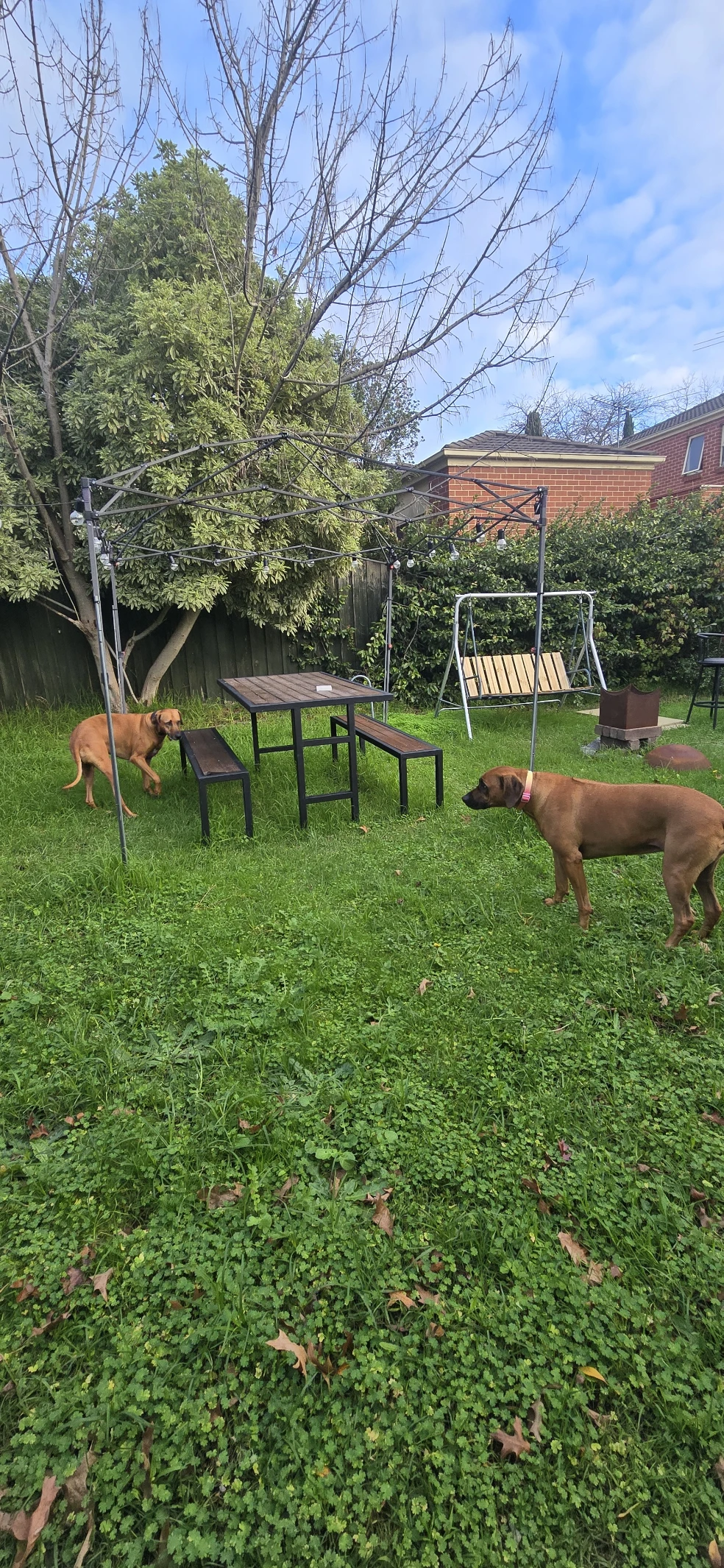 image-28