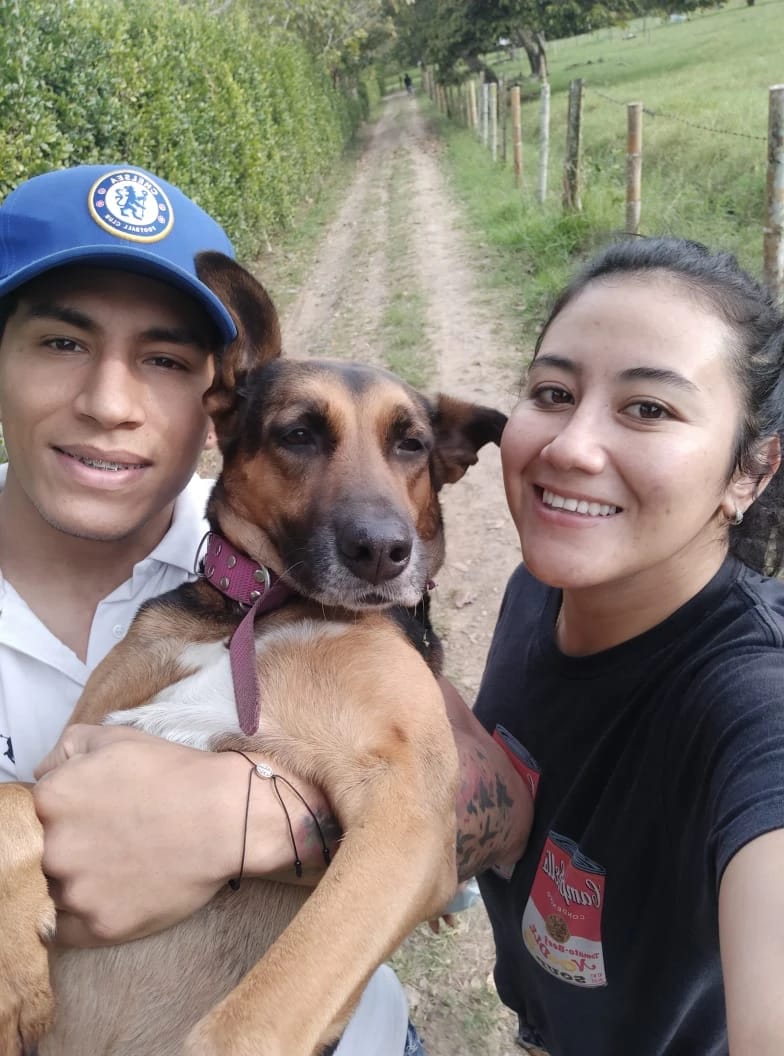 image-7