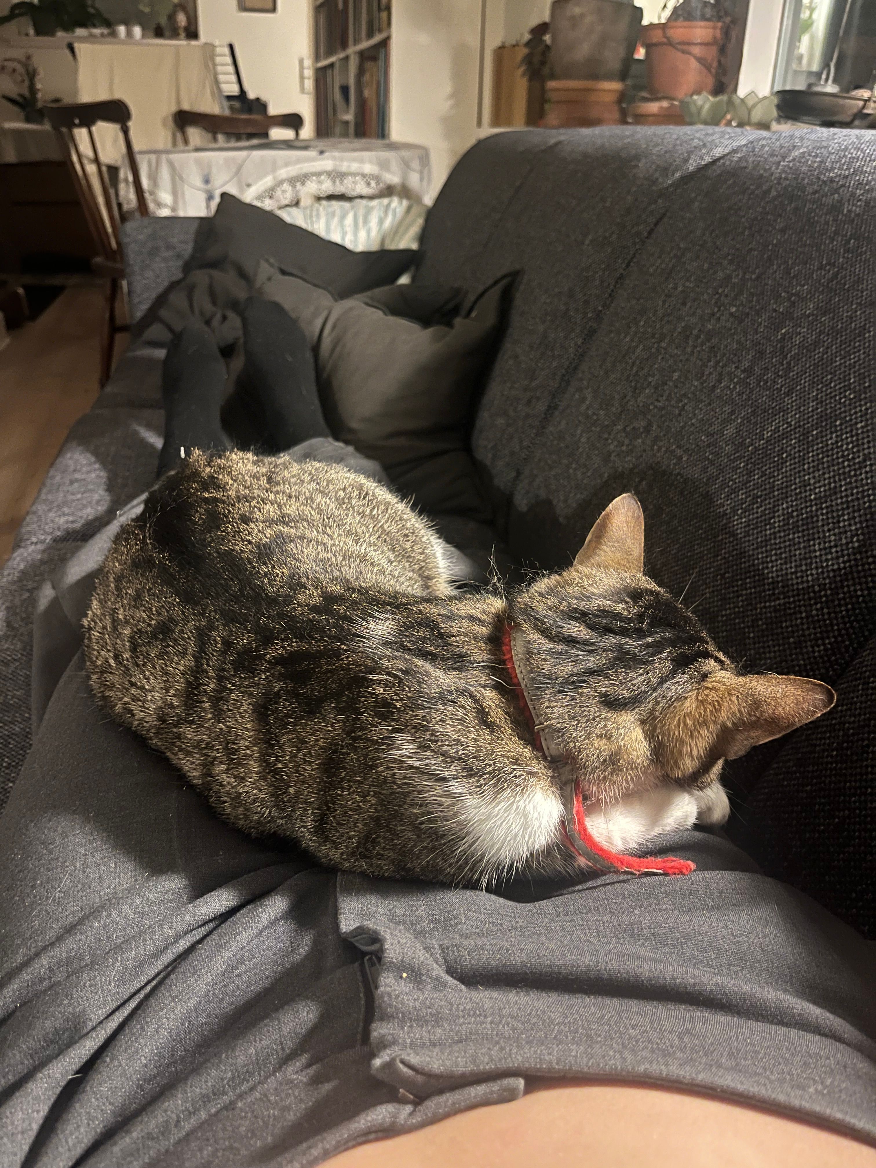 image-6