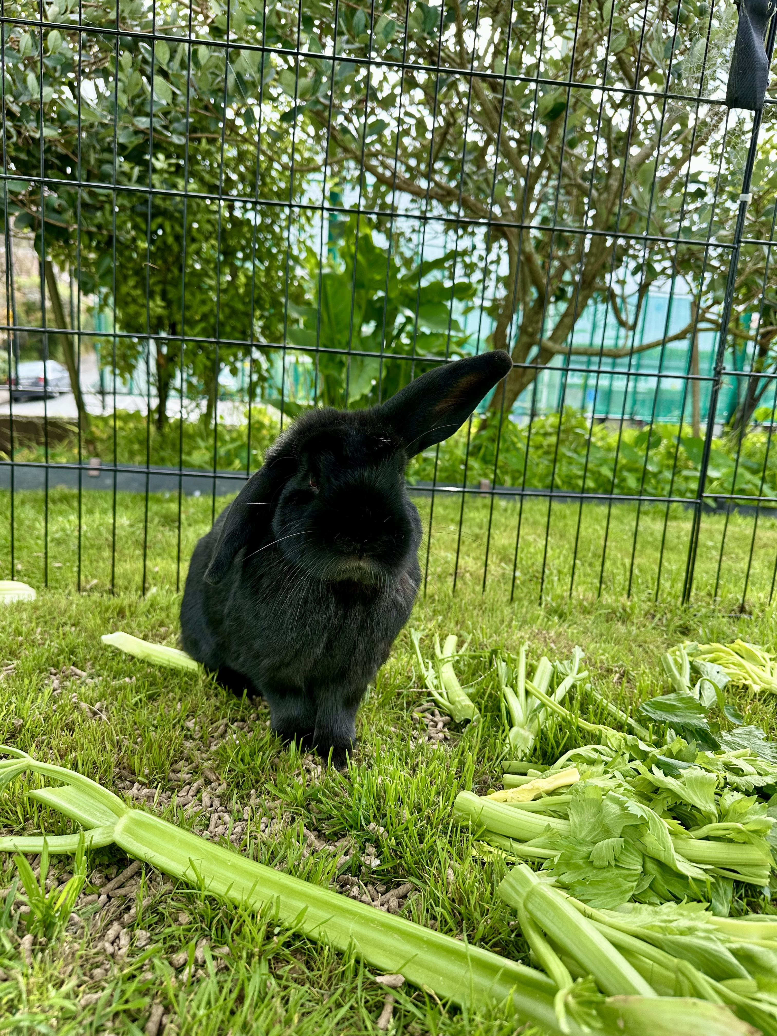 image-14