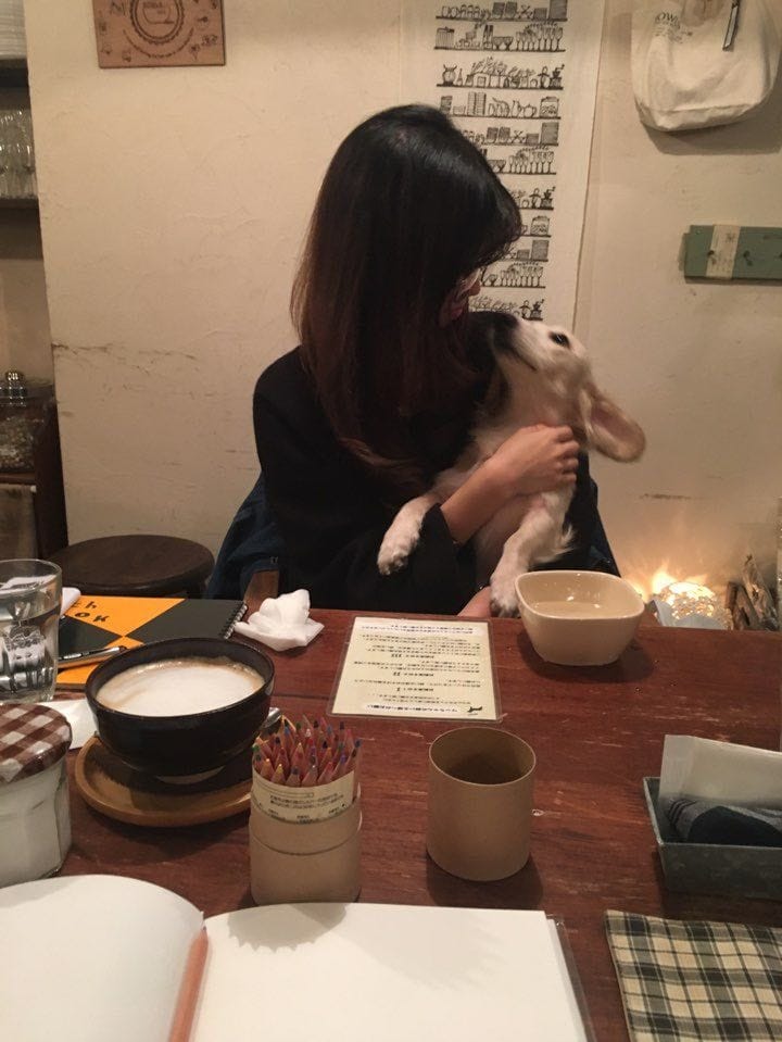 image-5