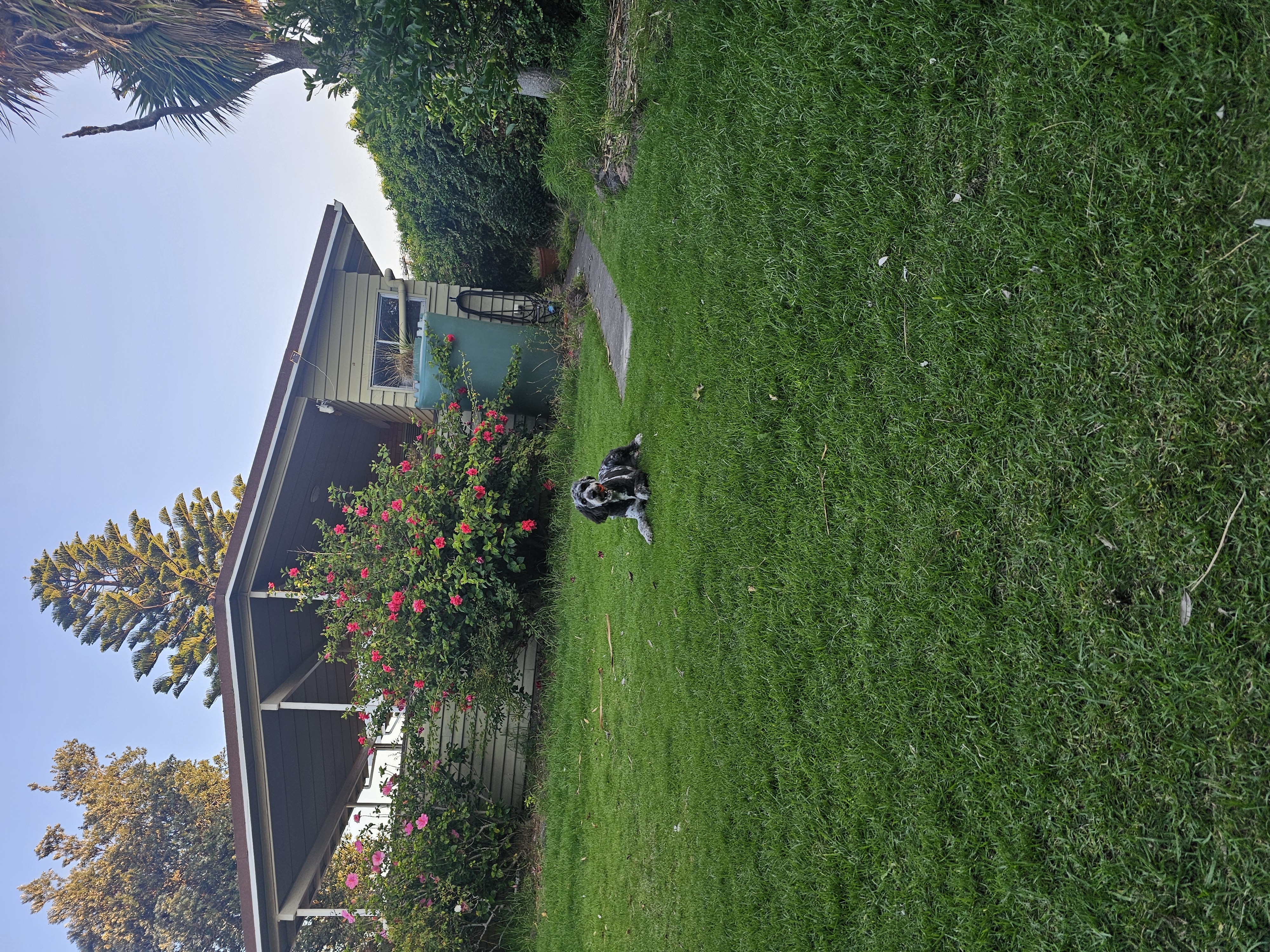 image-26