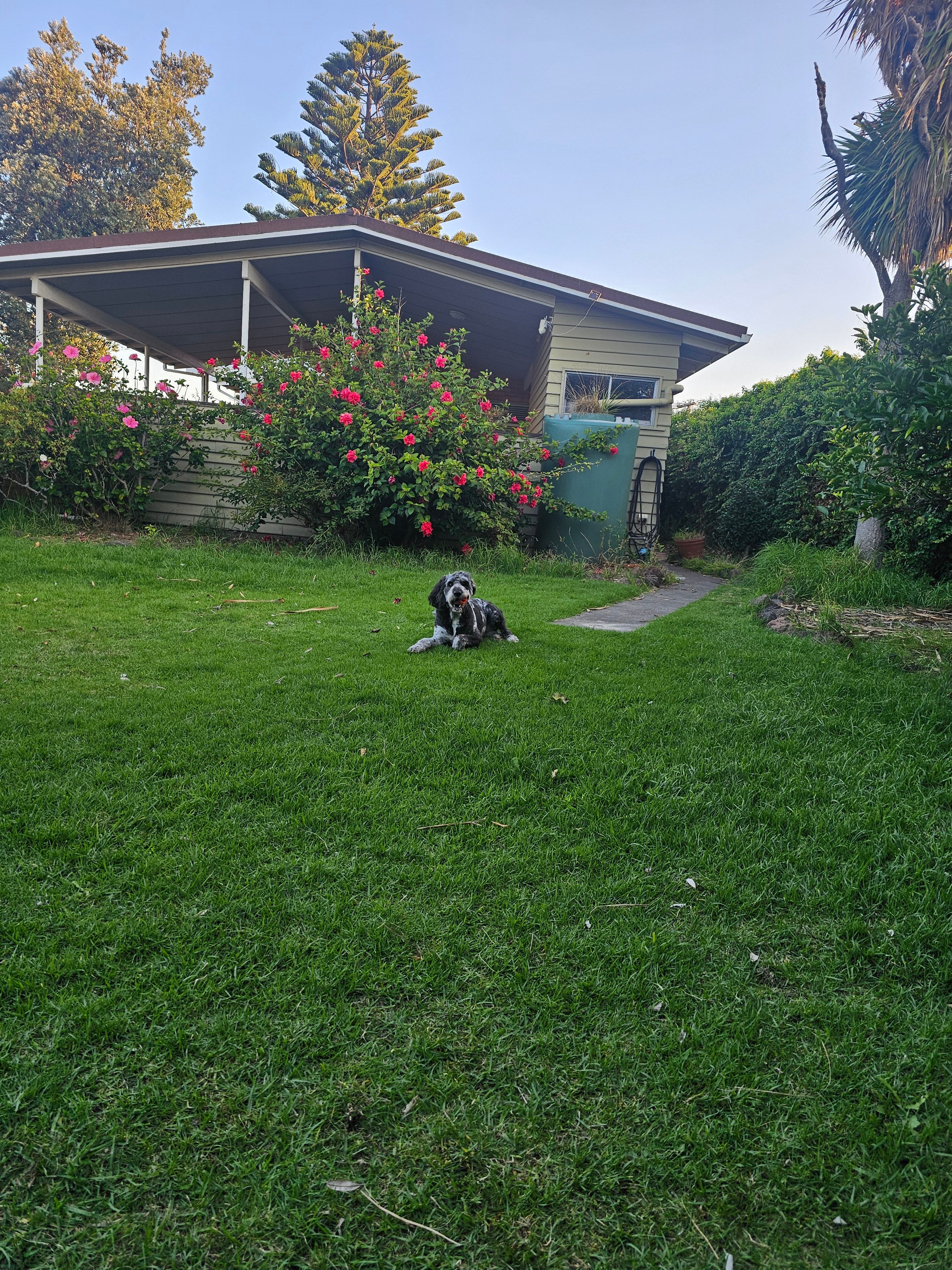 image-26