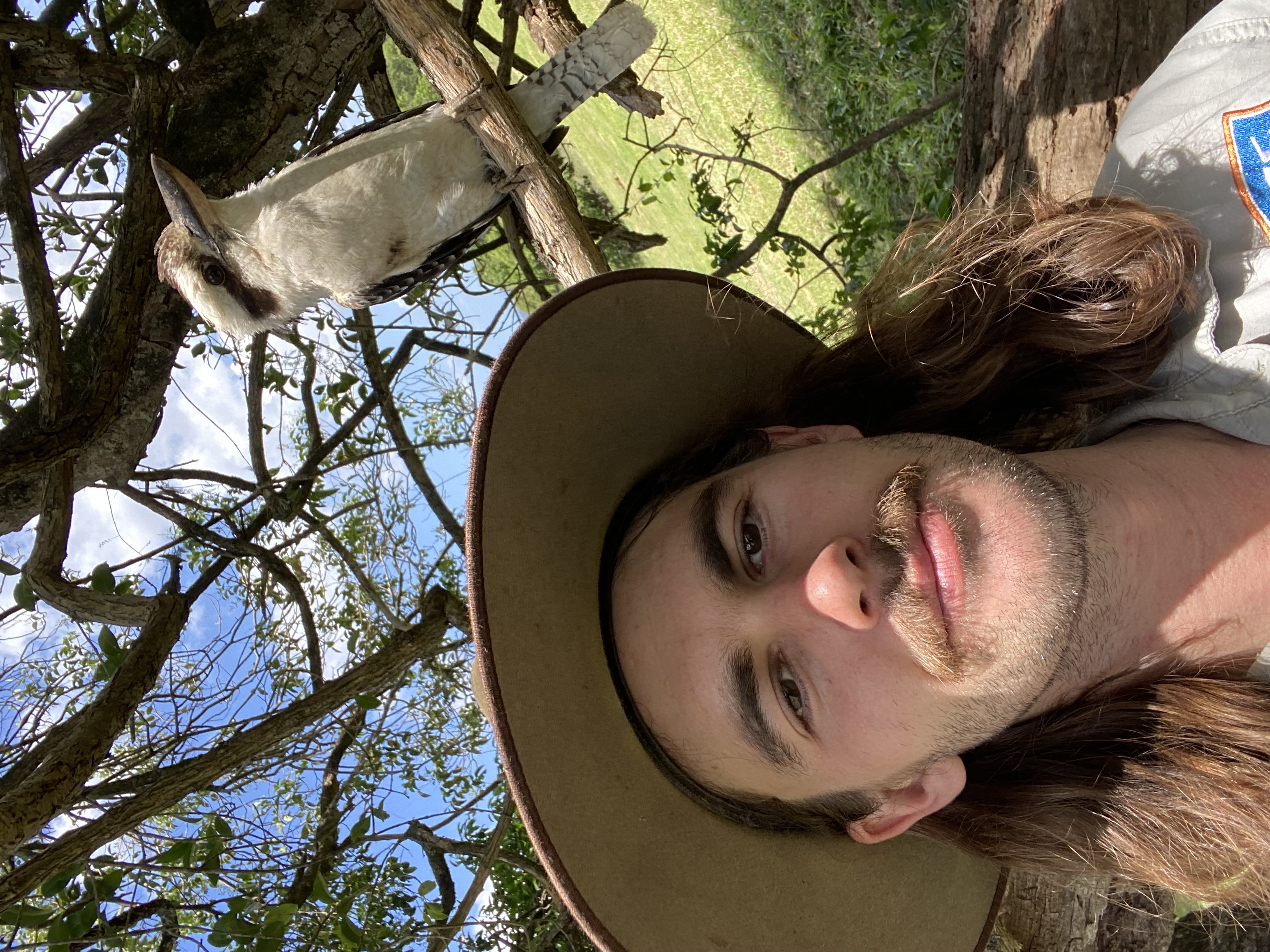 image-14