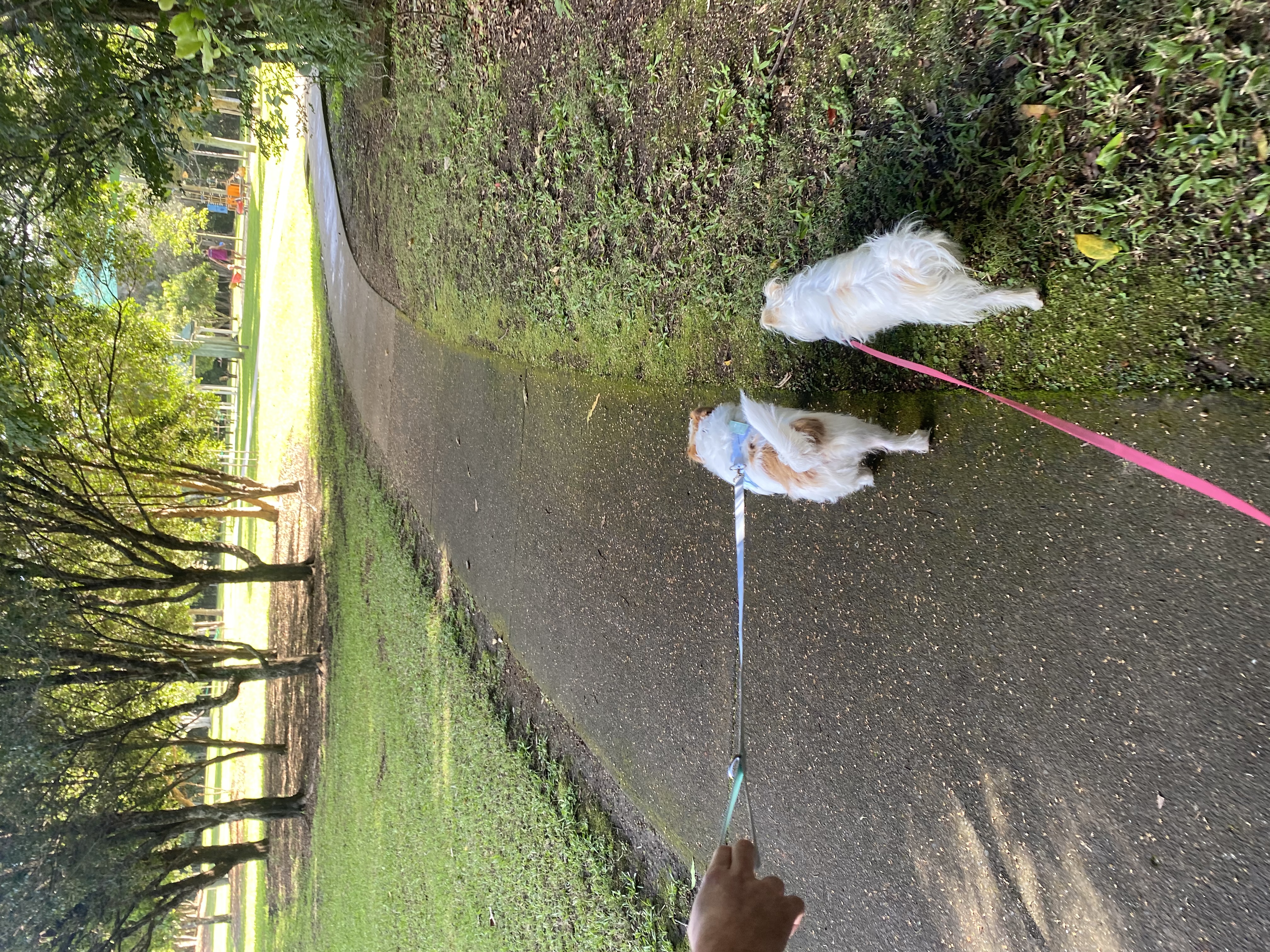 image-5