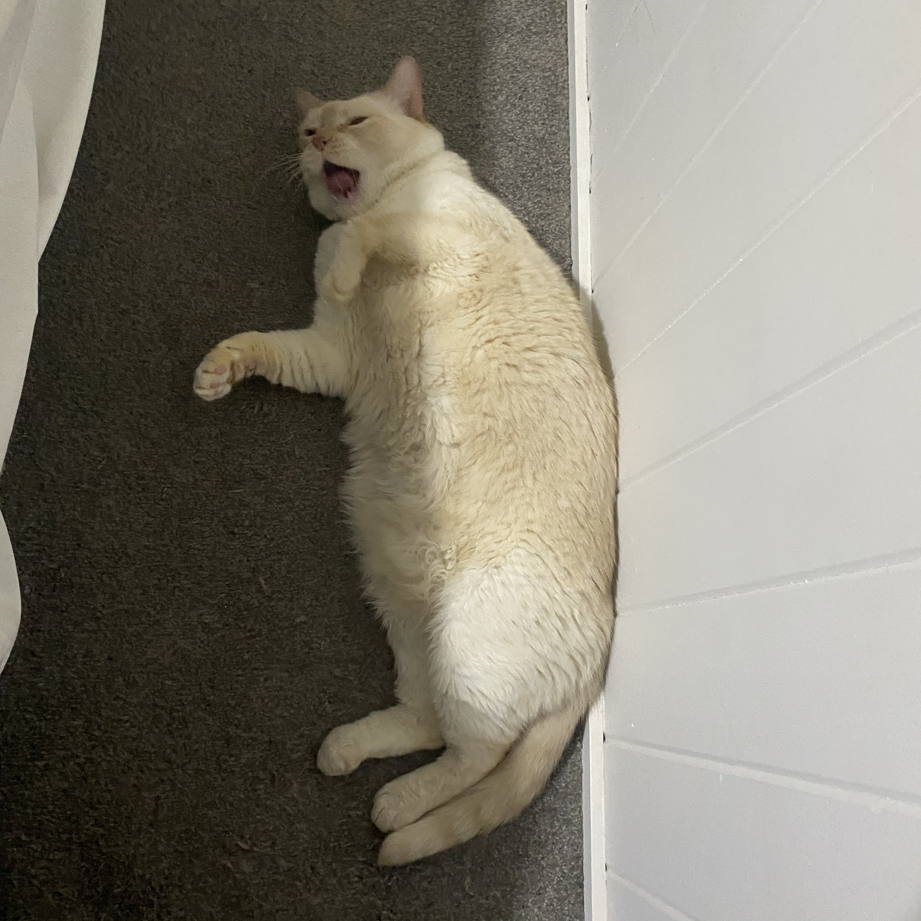 Luna
