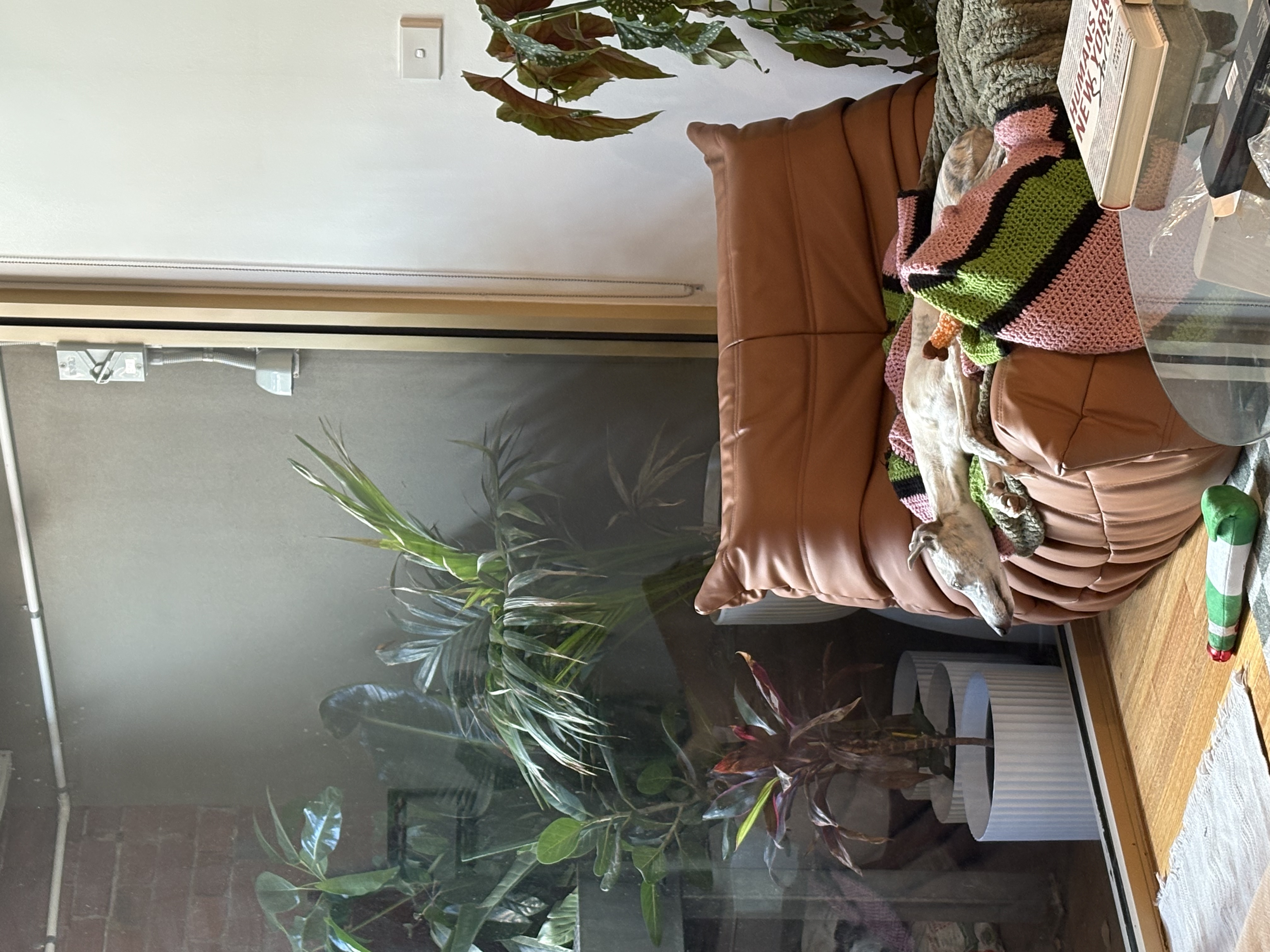 image-7