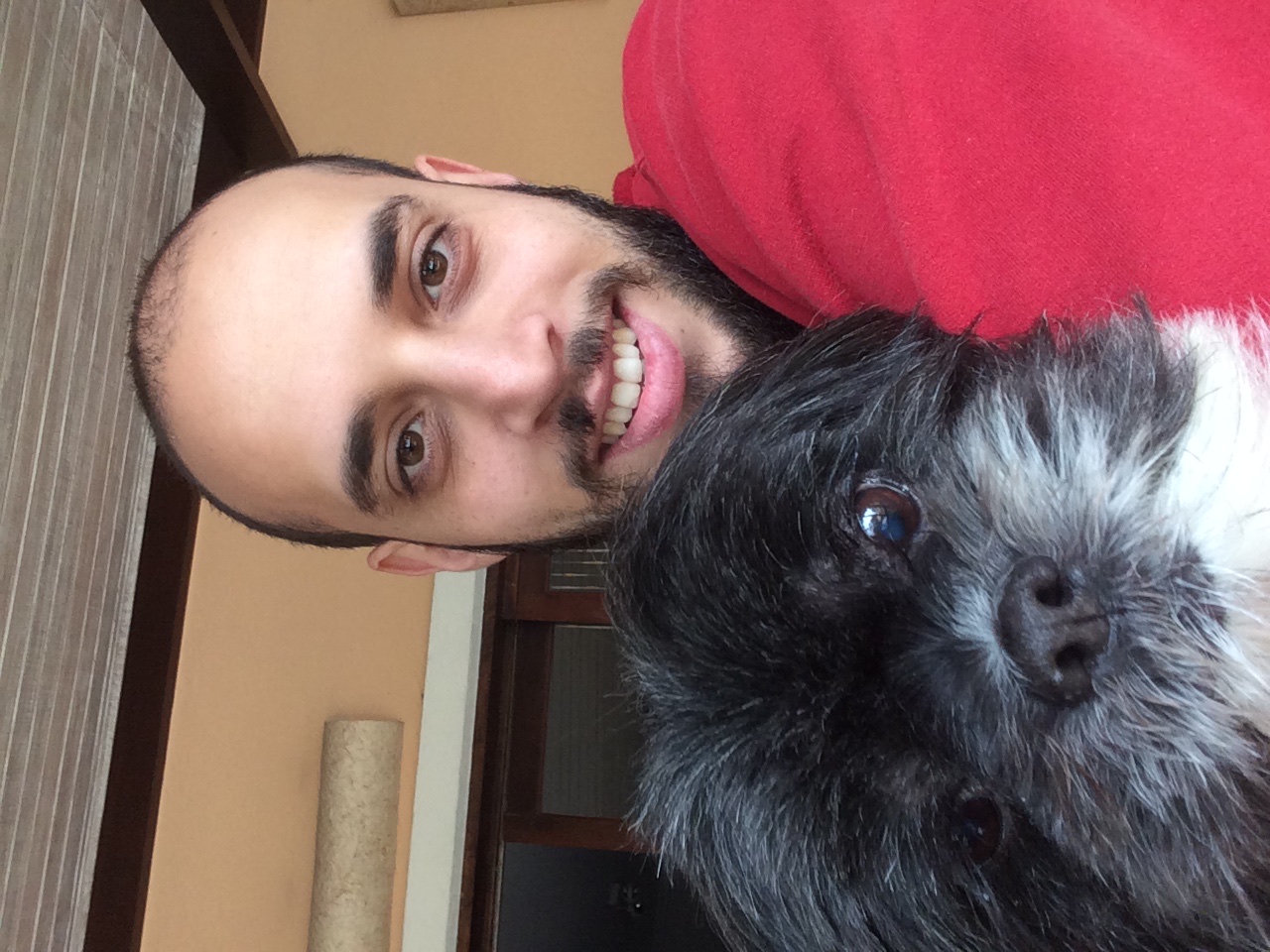 image-7