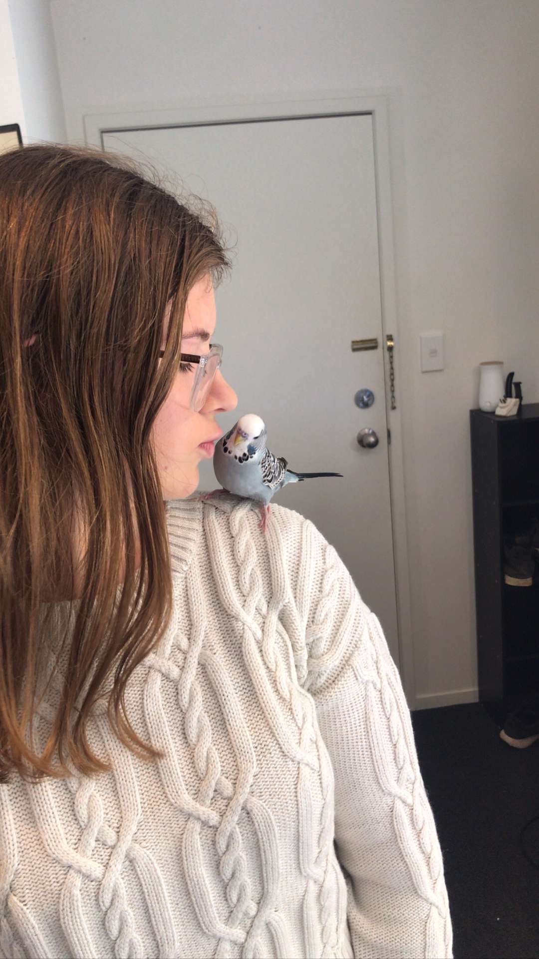 image-3