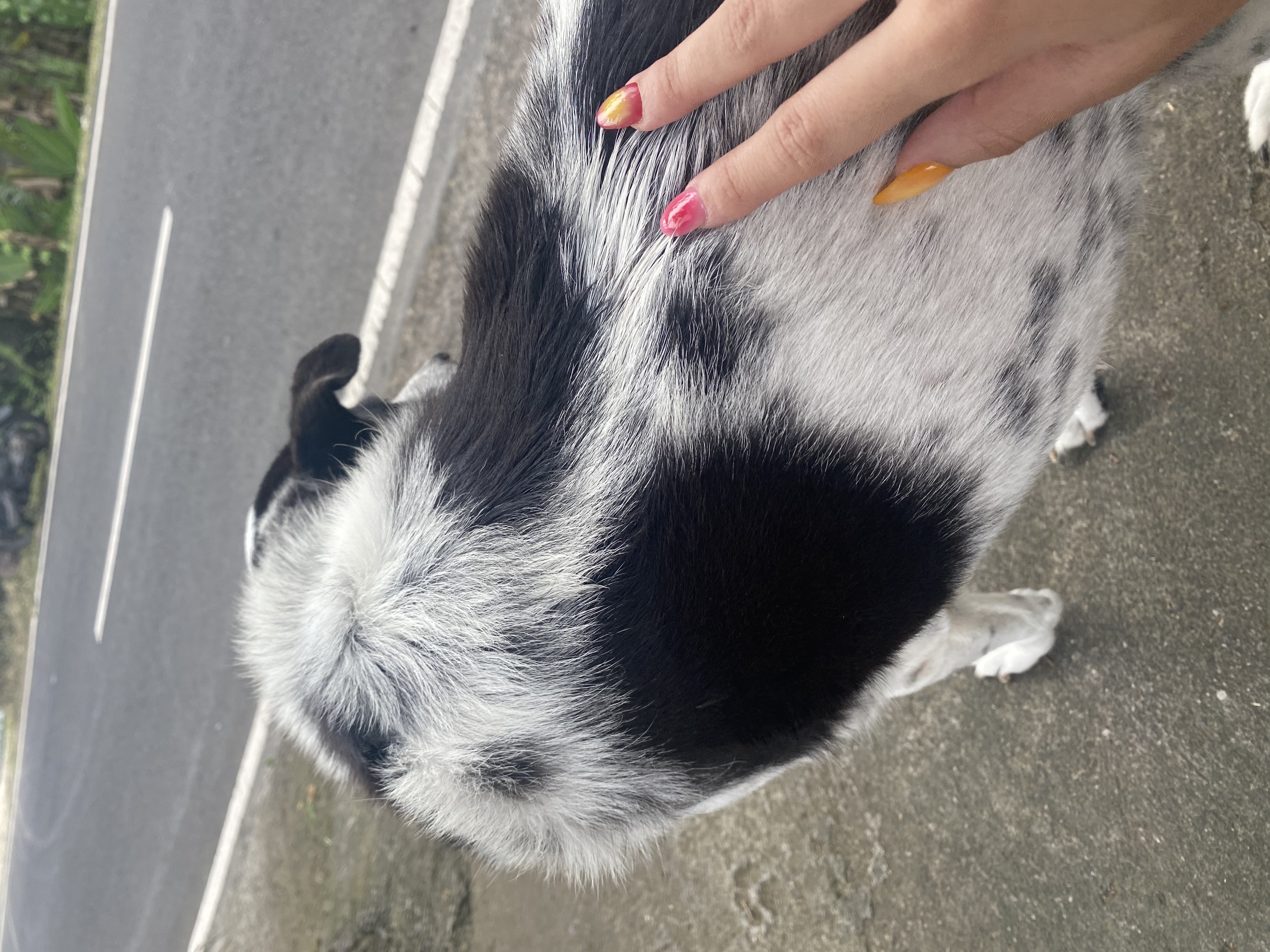 image-7