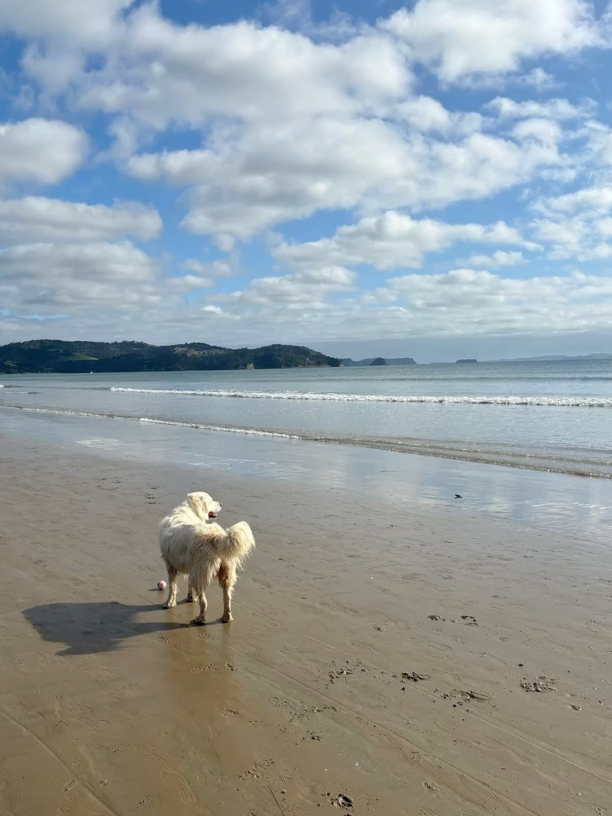 image-21