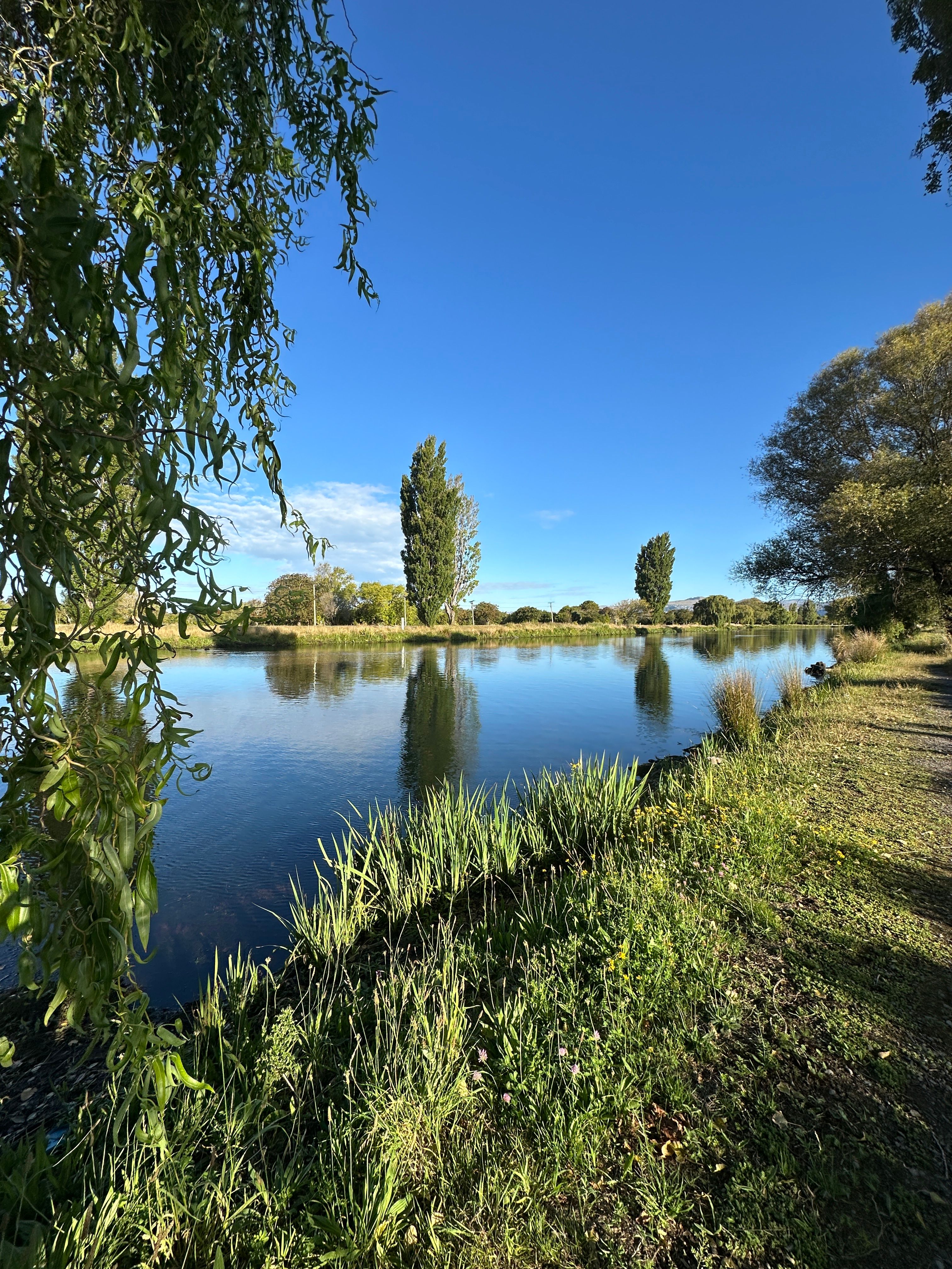 image-20