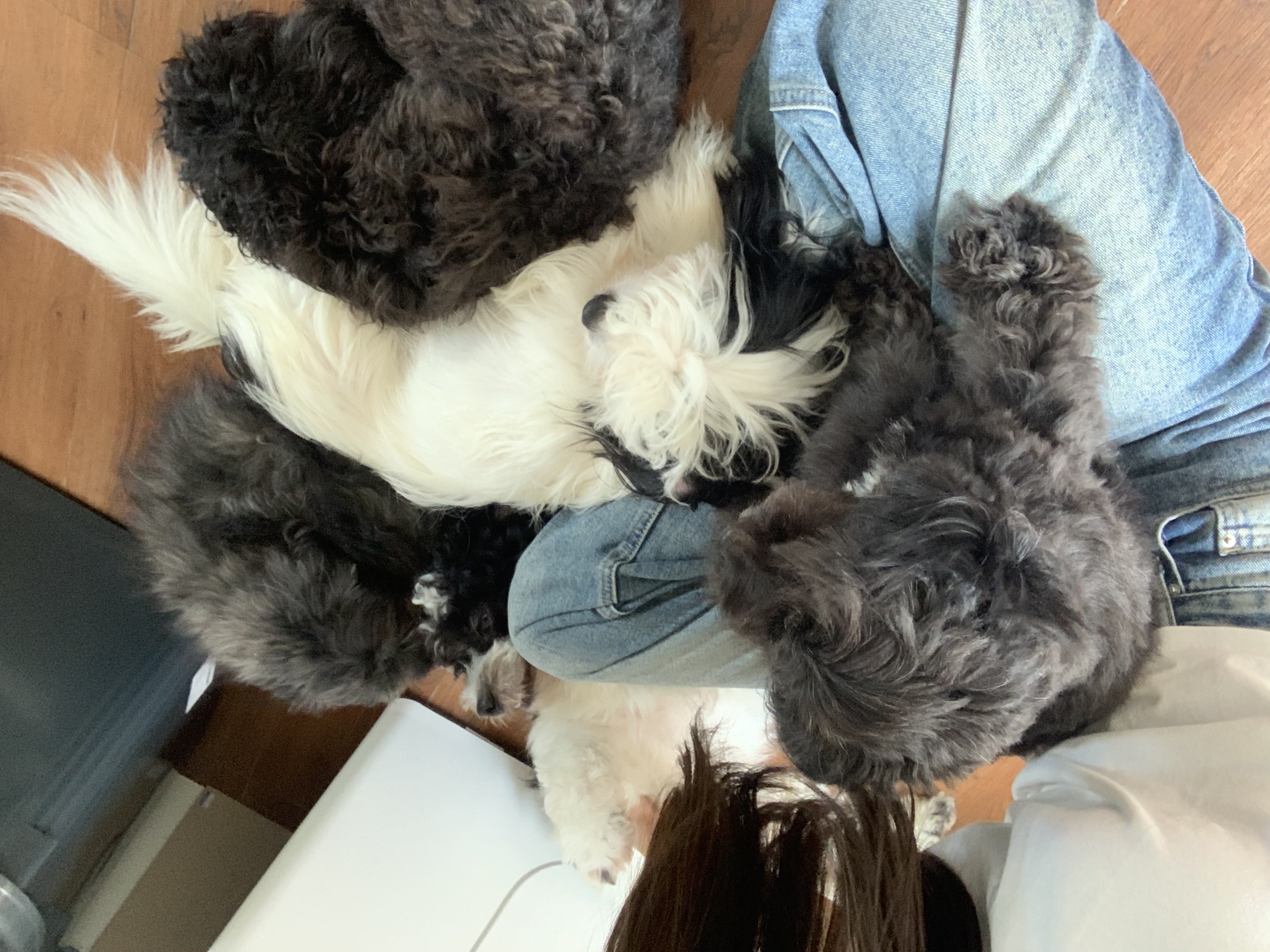 image-4