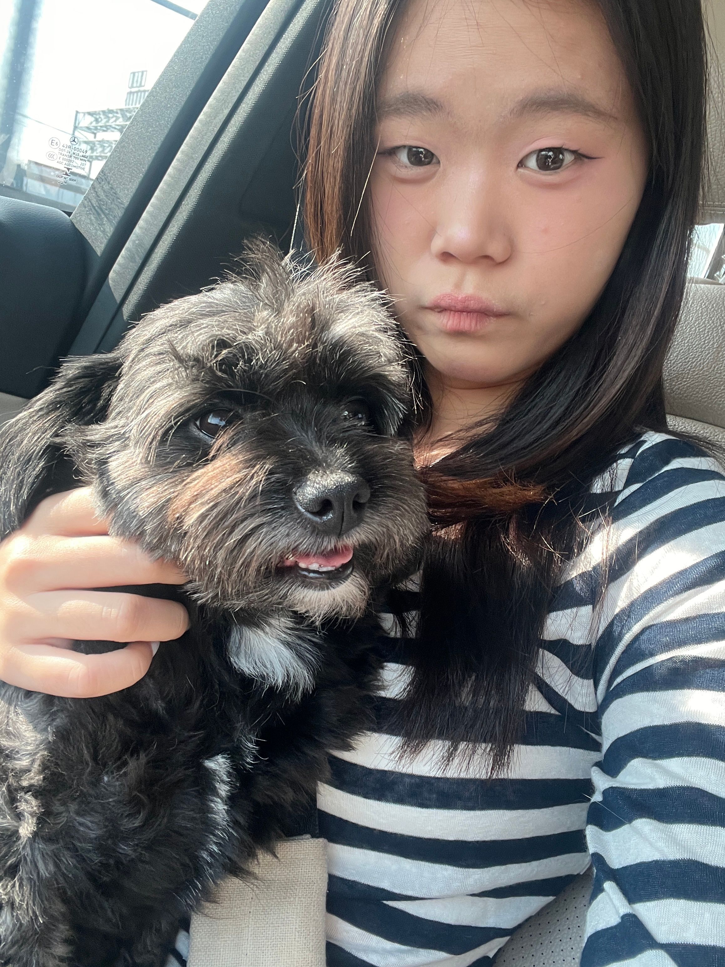 image-7