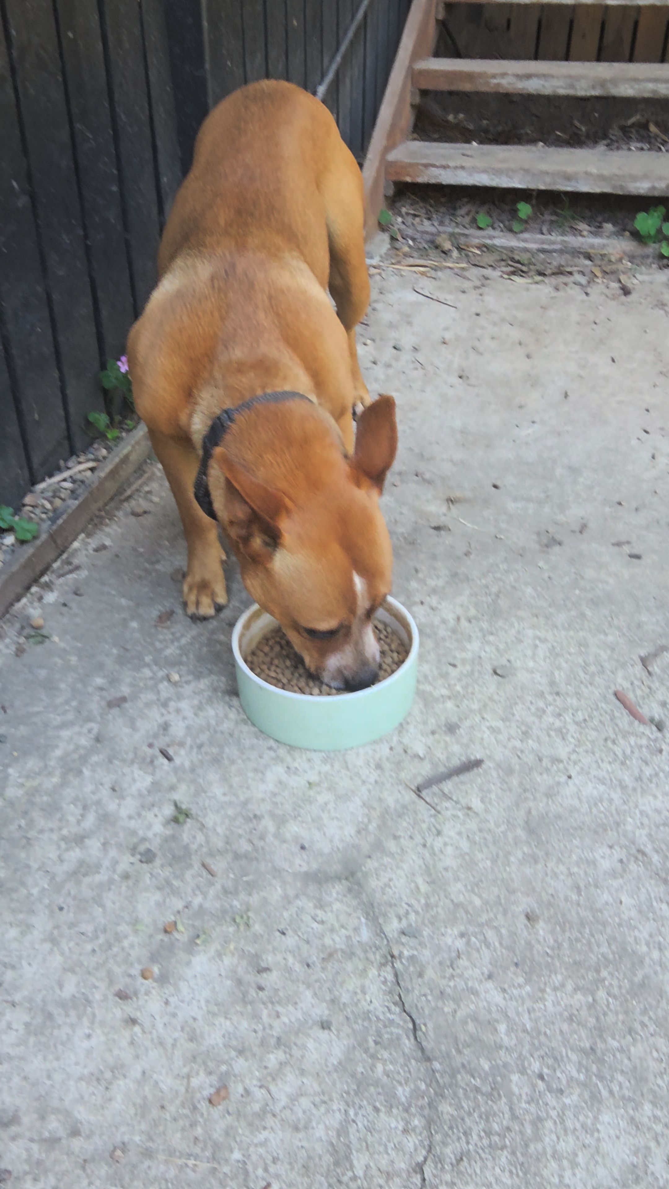 image-8