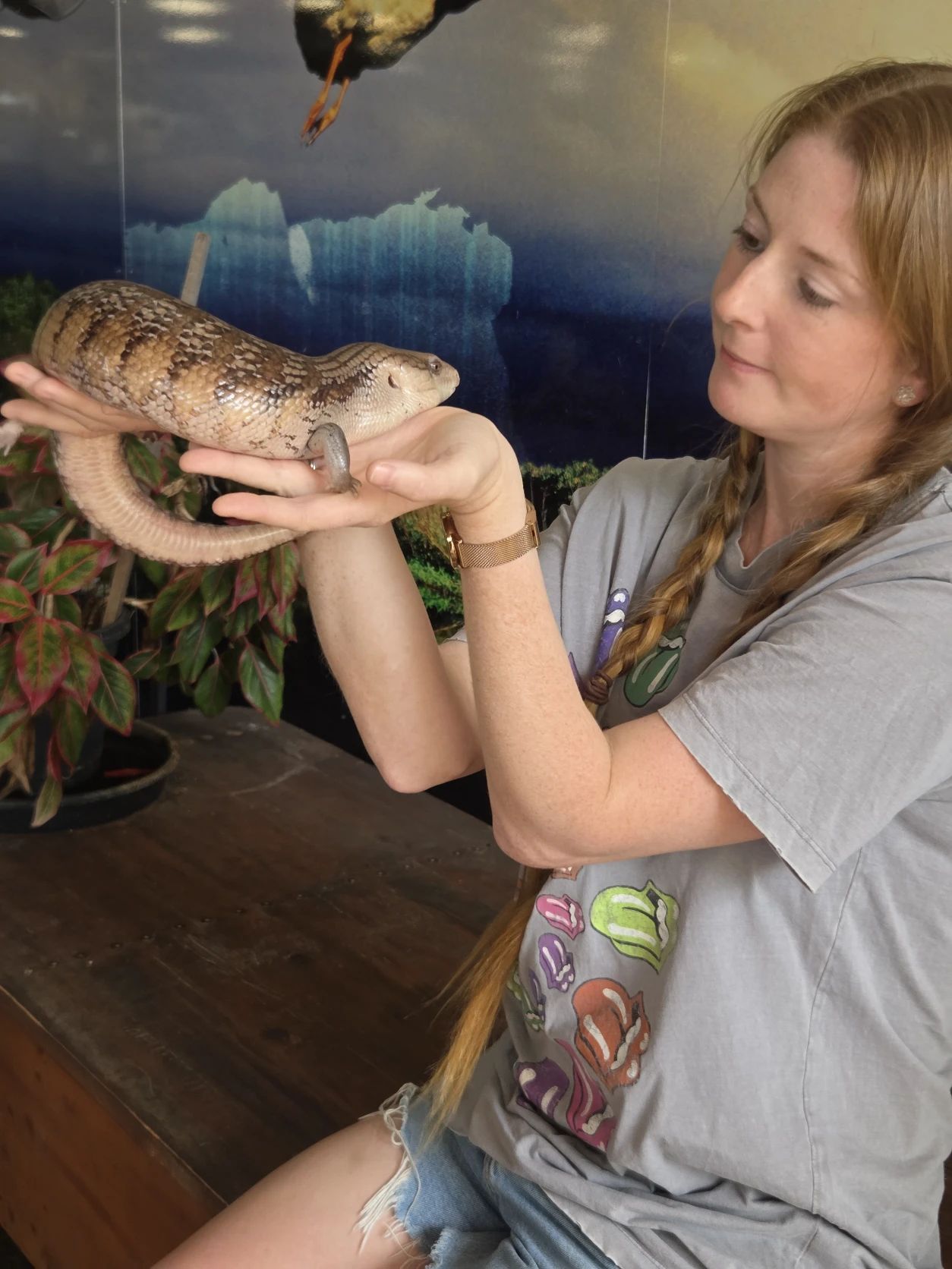 image-23