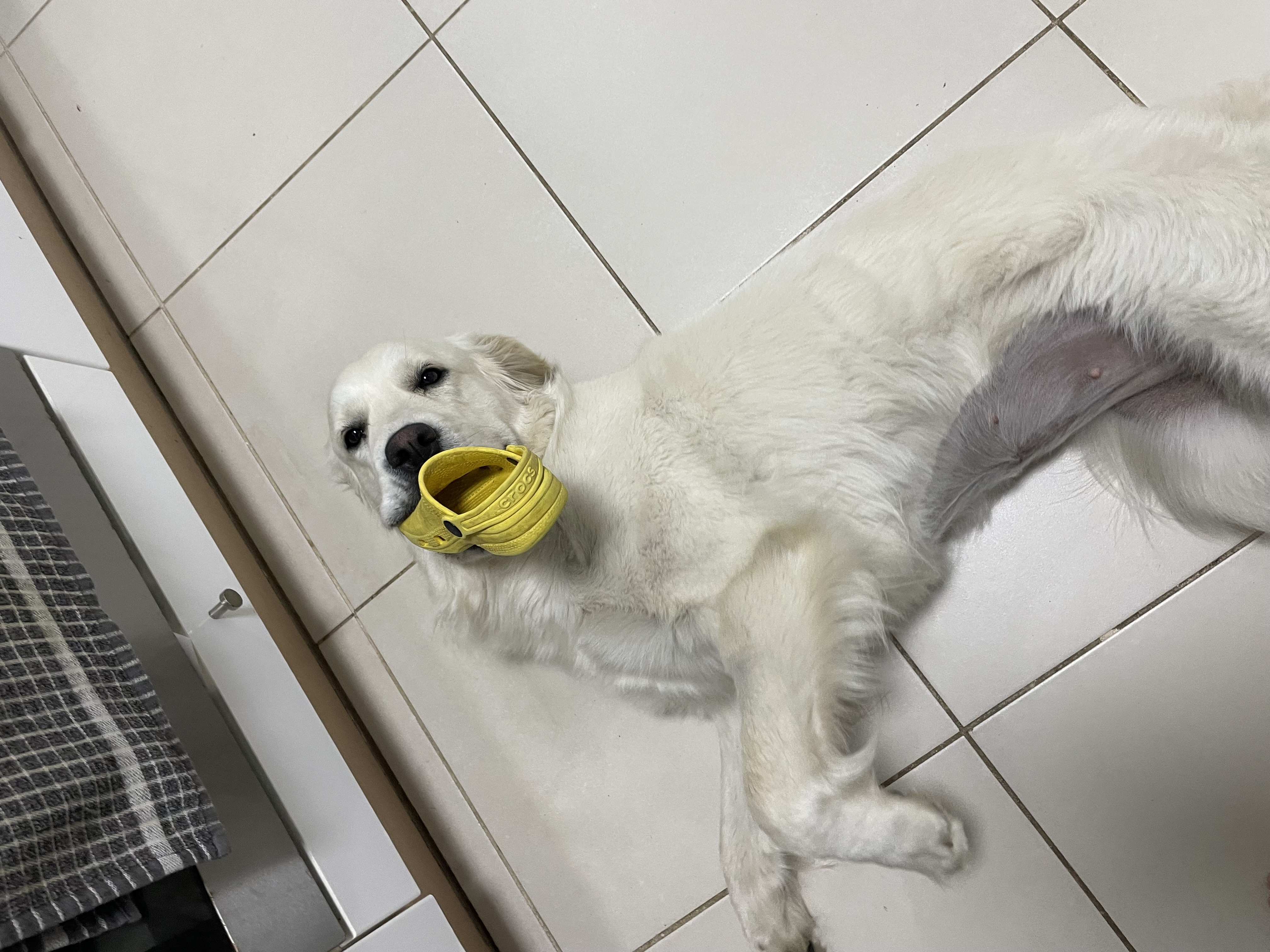 image-6