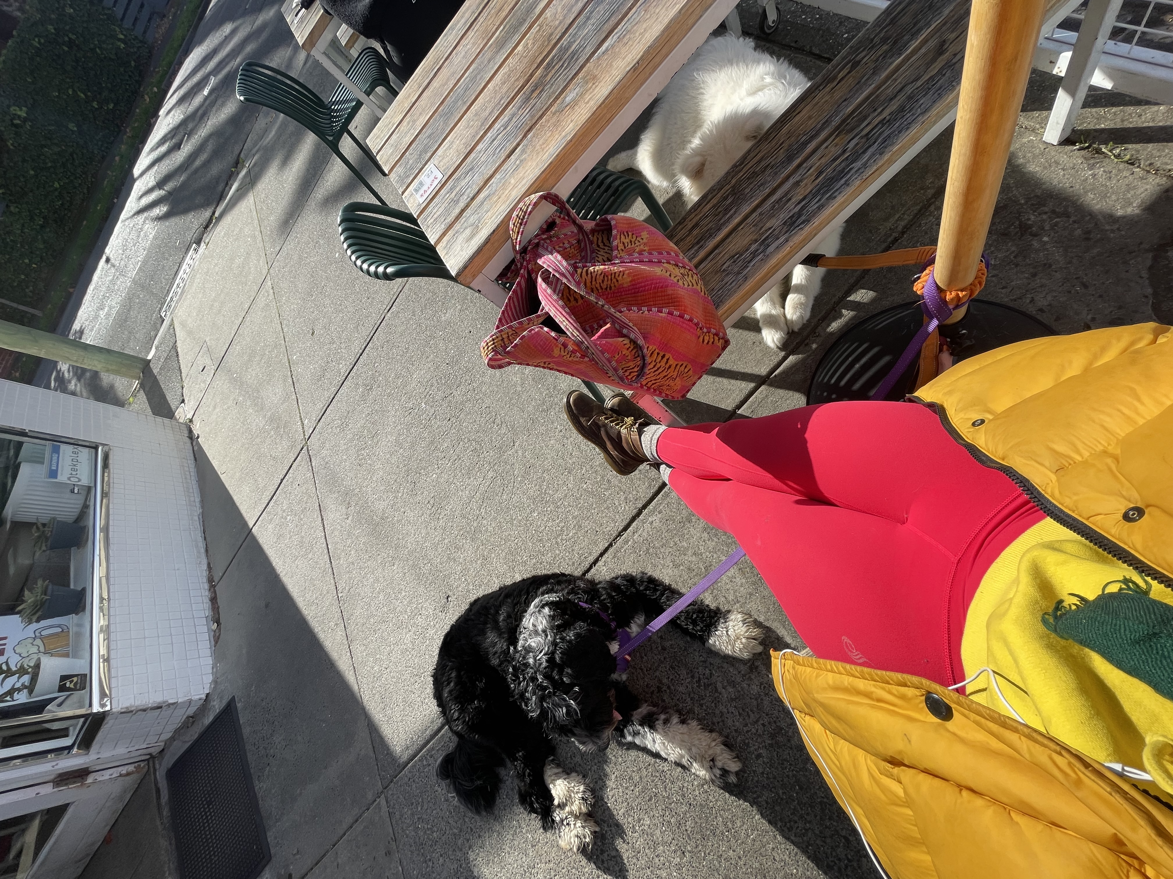 image-14