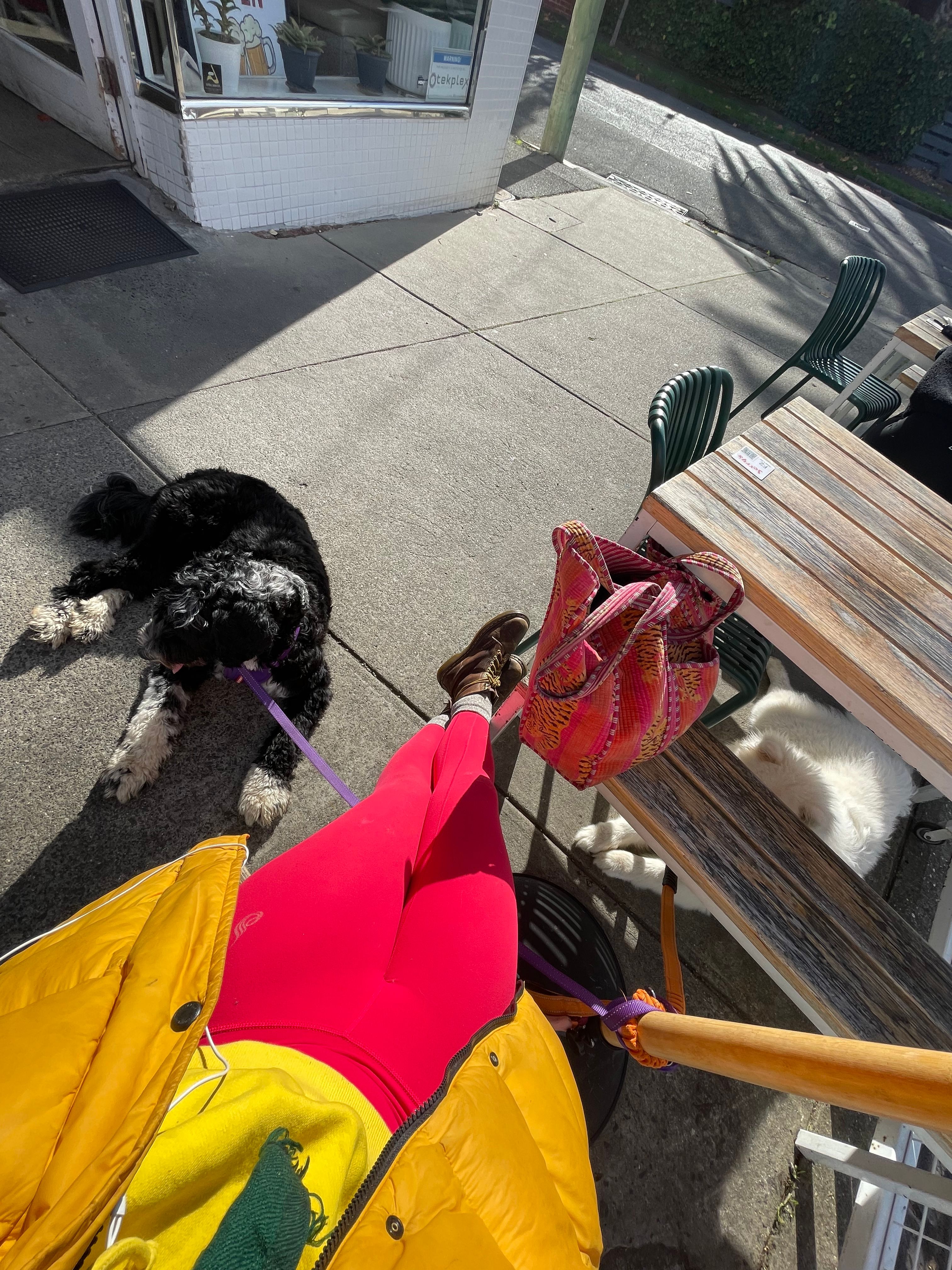 image-14