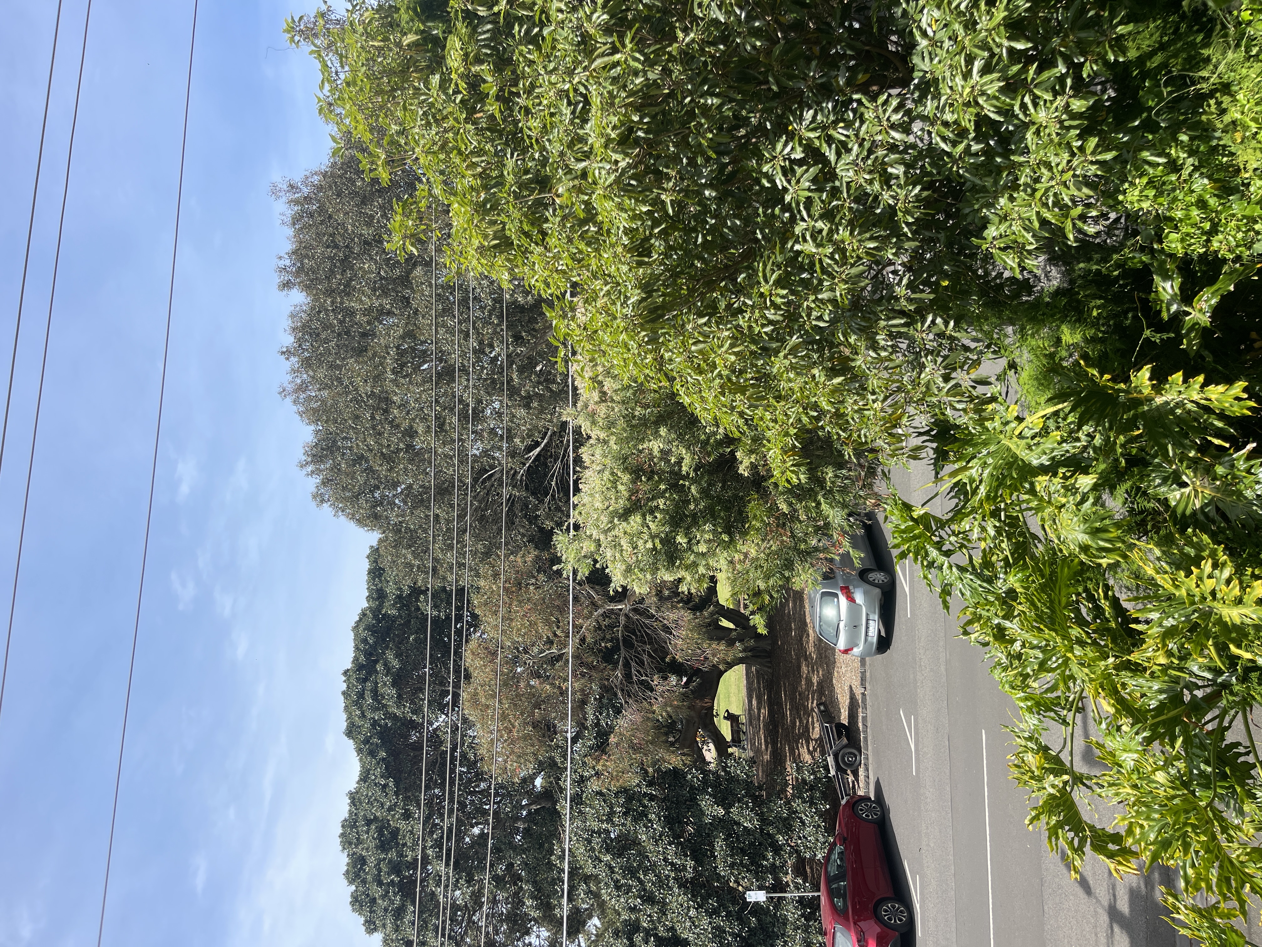 image-15
