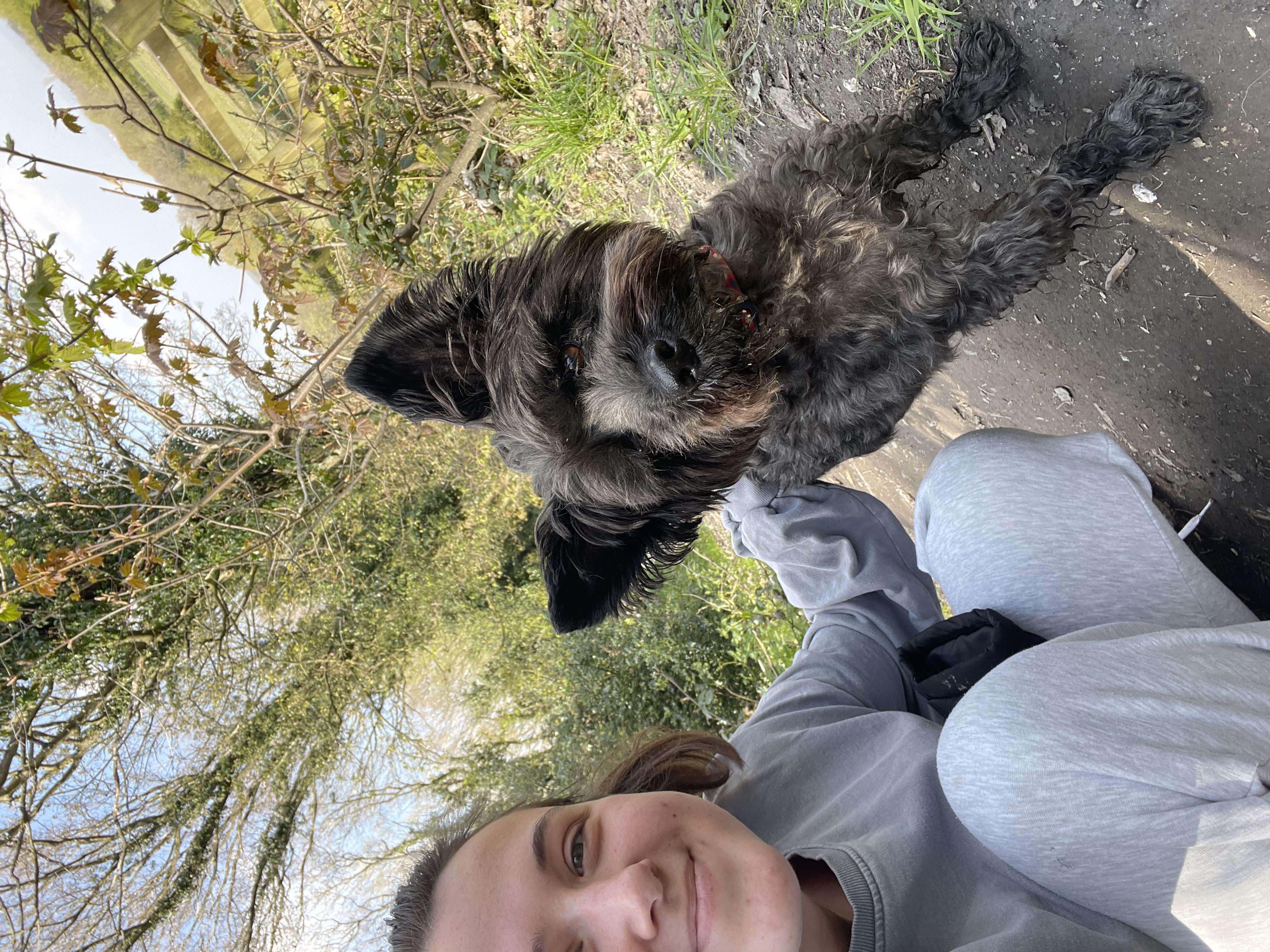 image-6