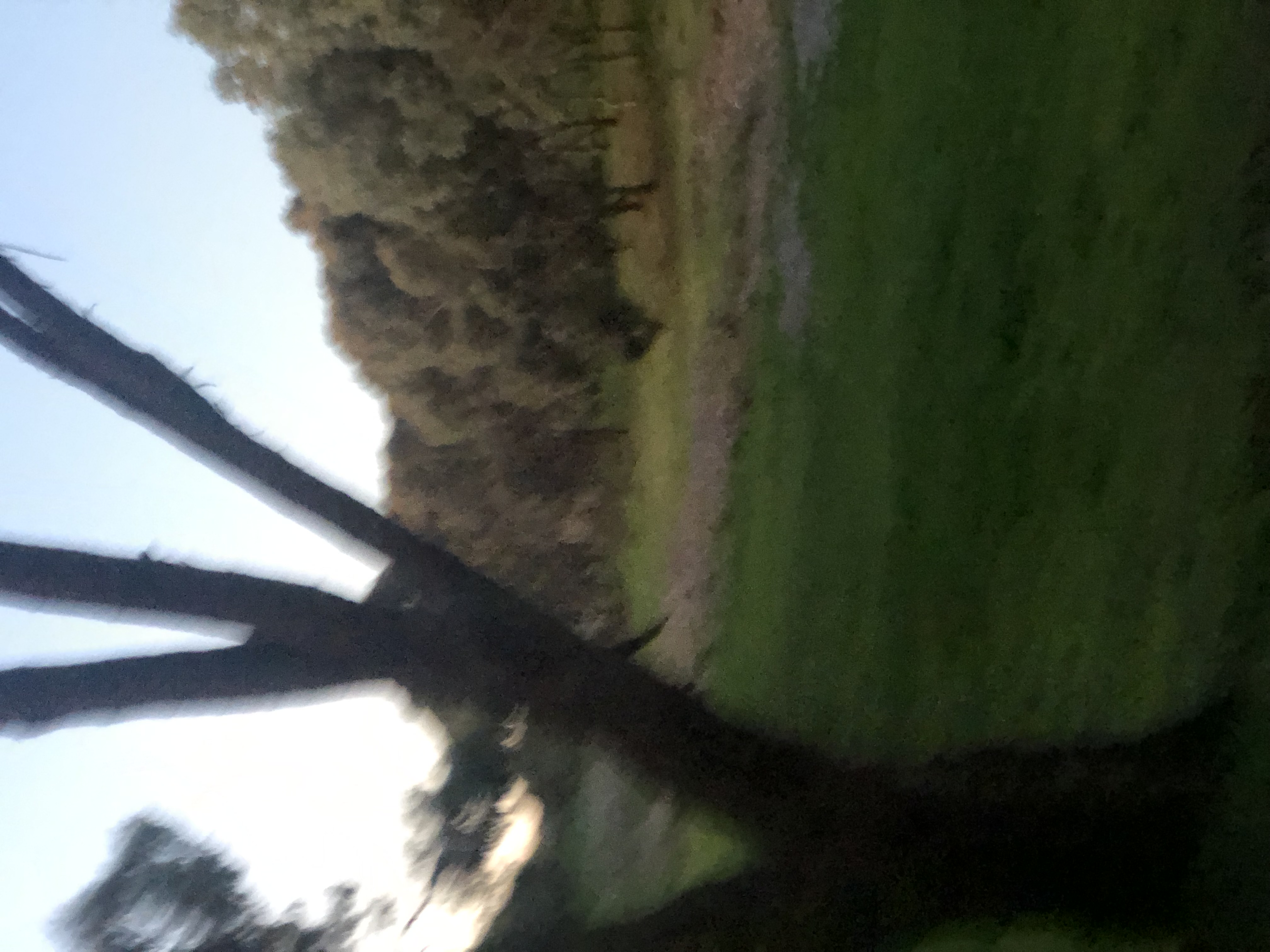 image-16