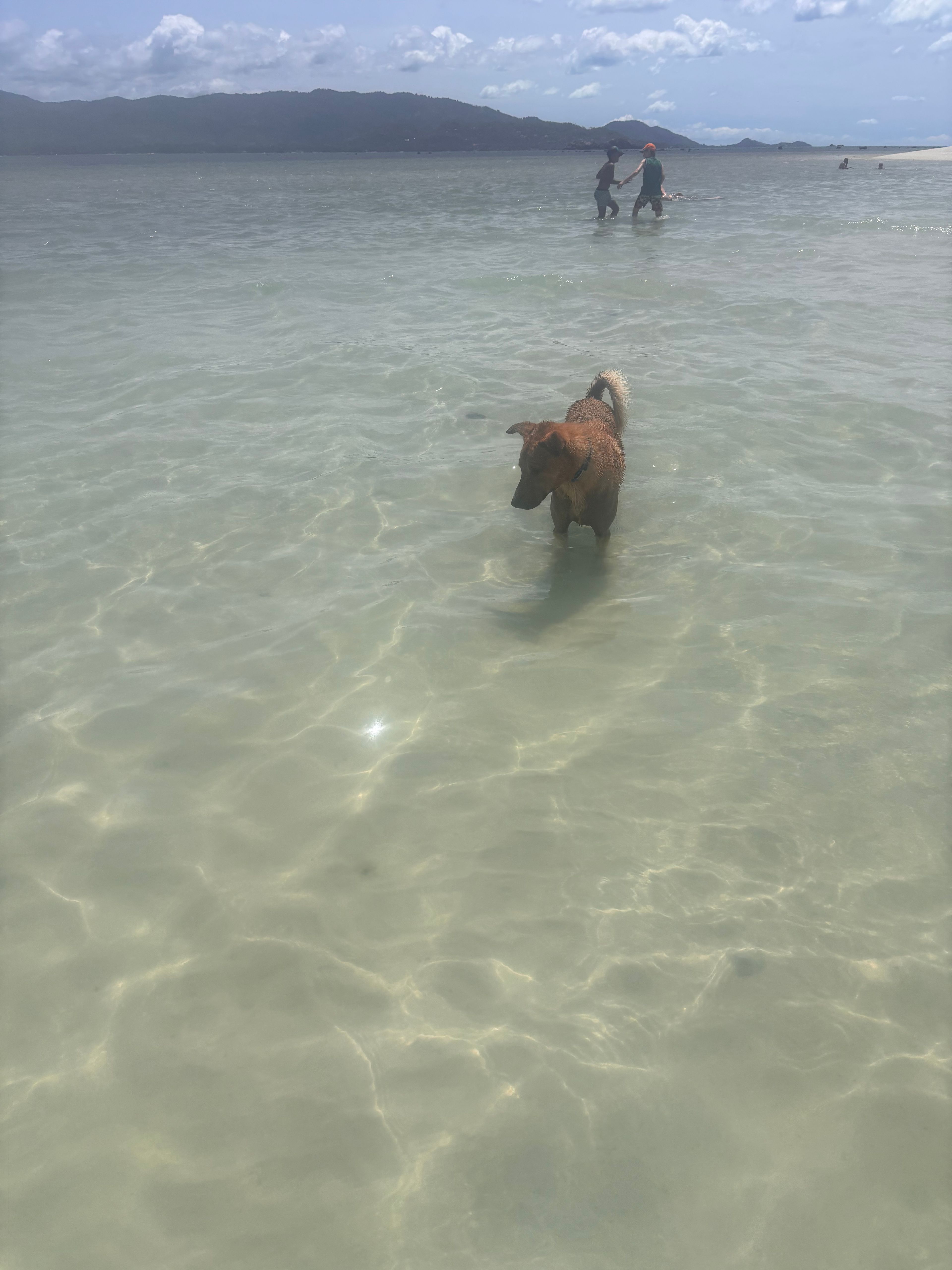 image-3