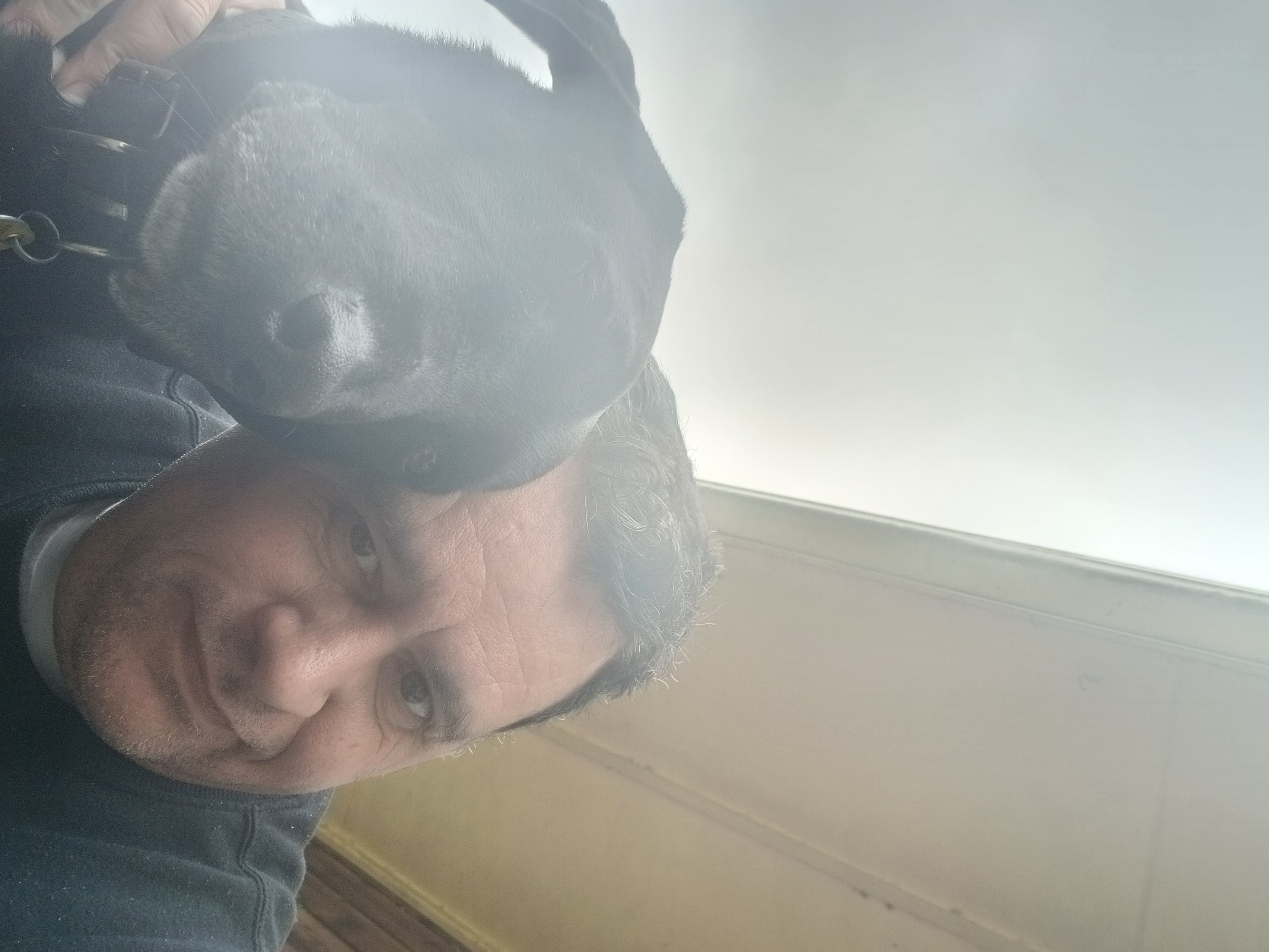 image-7