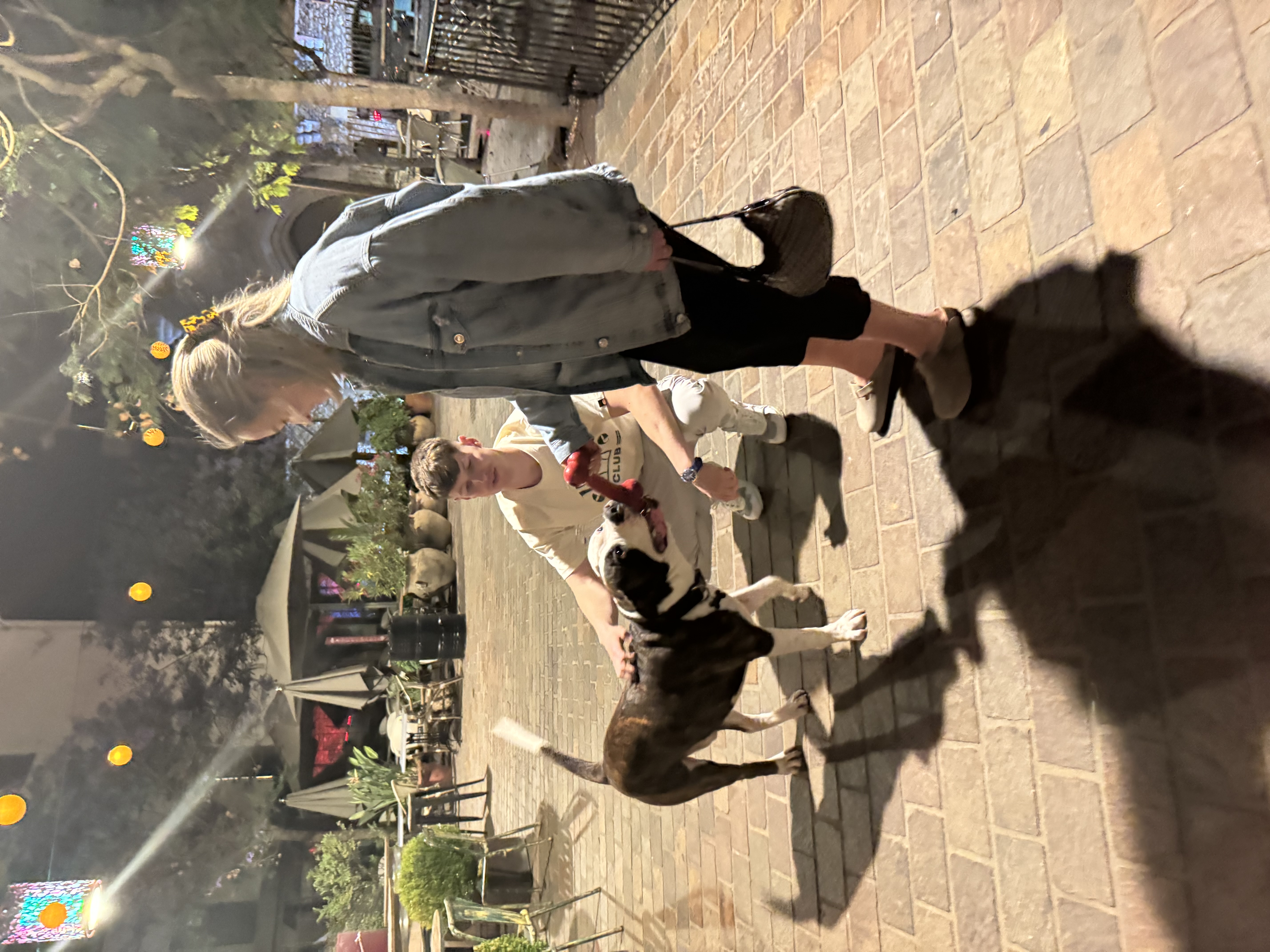image-11