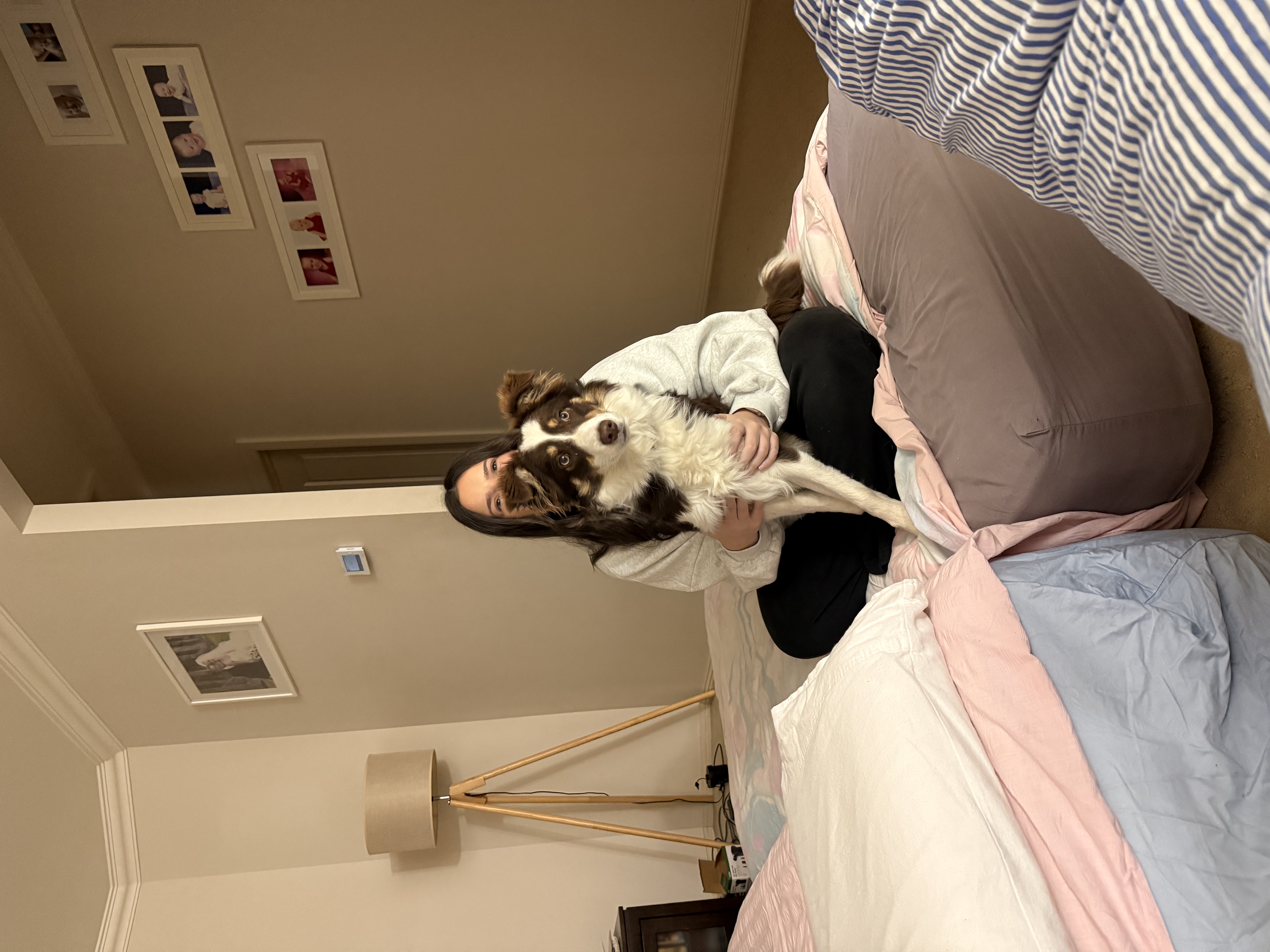 image-5