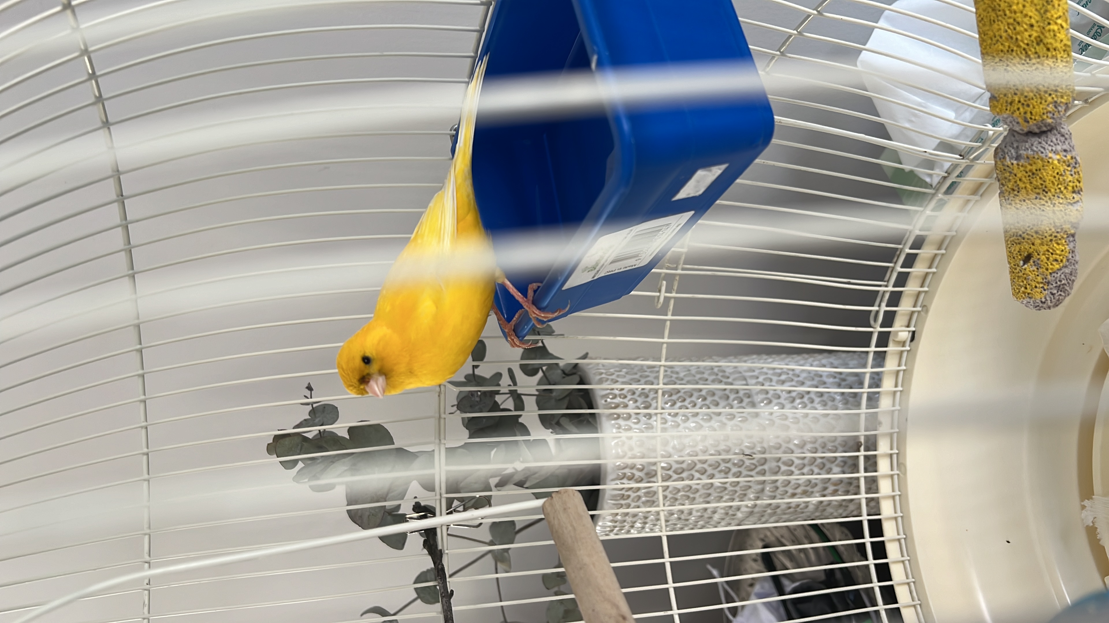 image-4