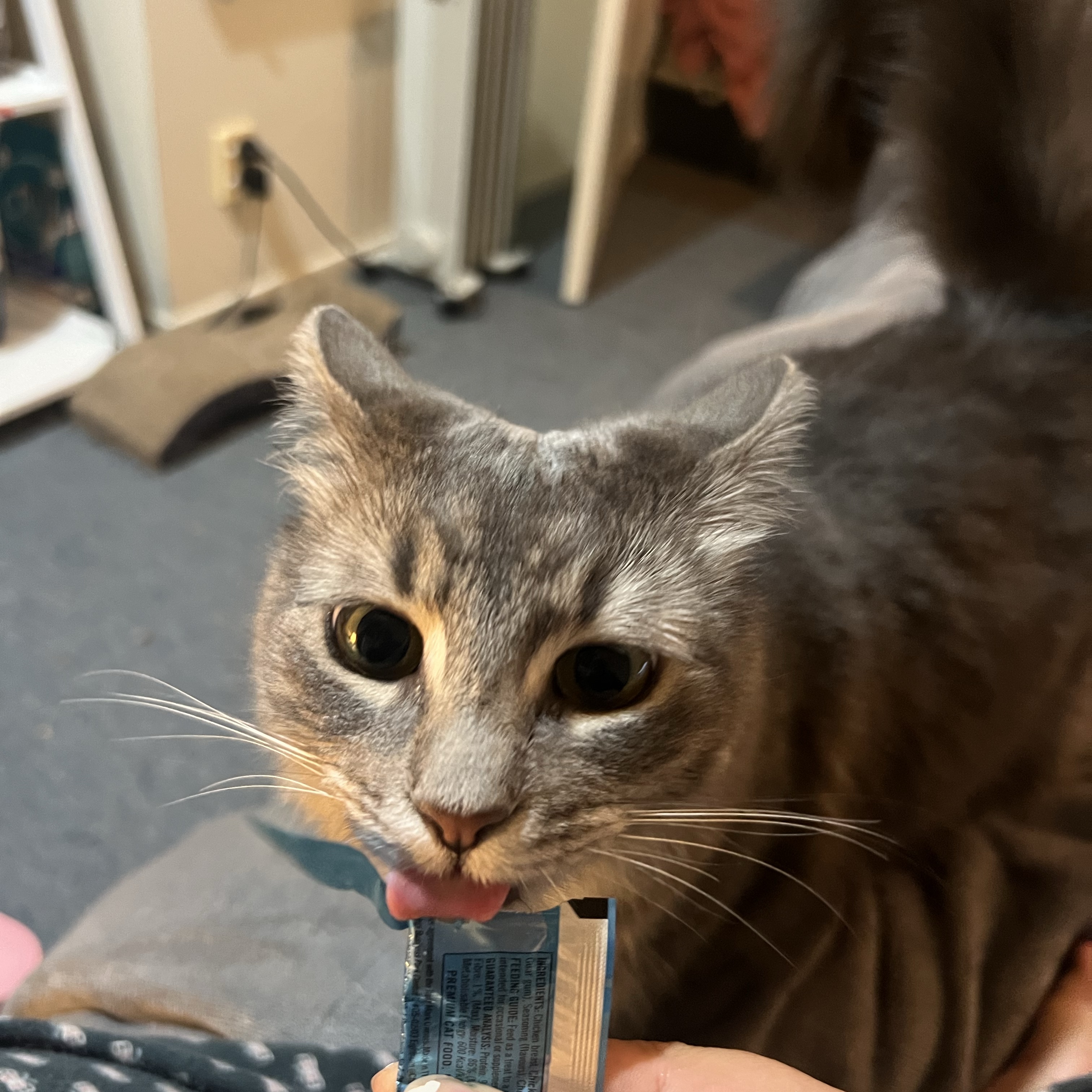 Lyla