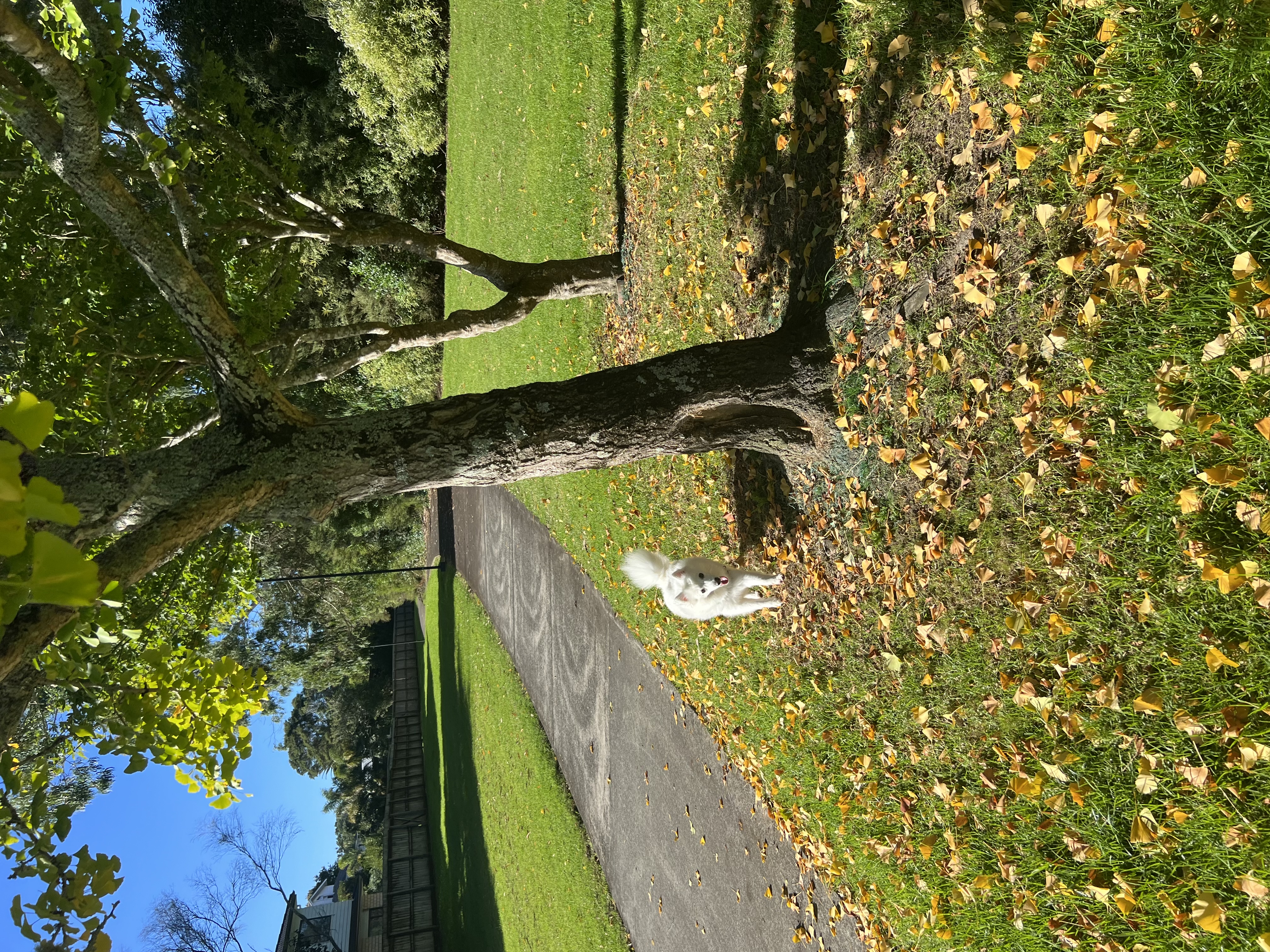 image-14