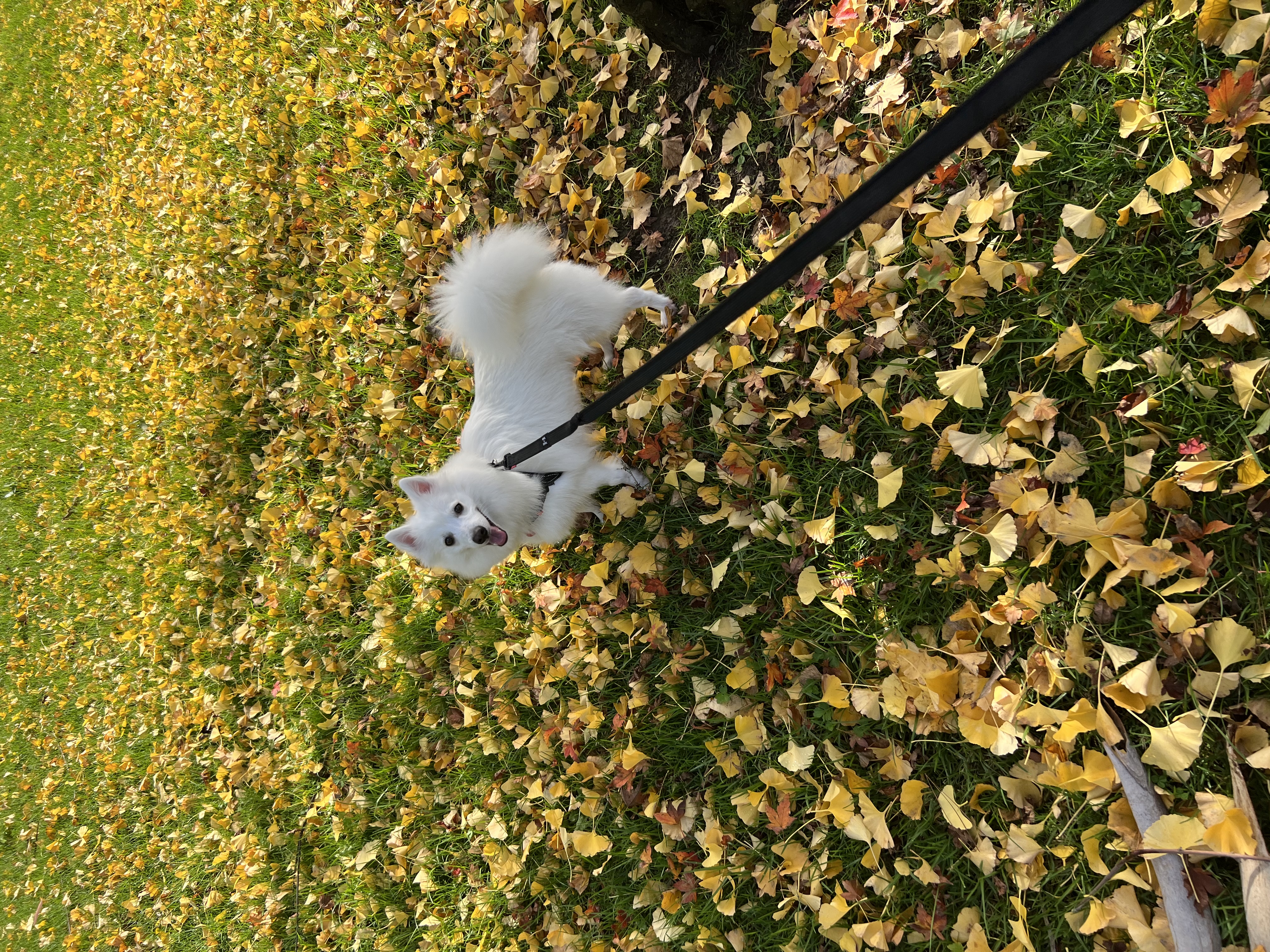 image-10