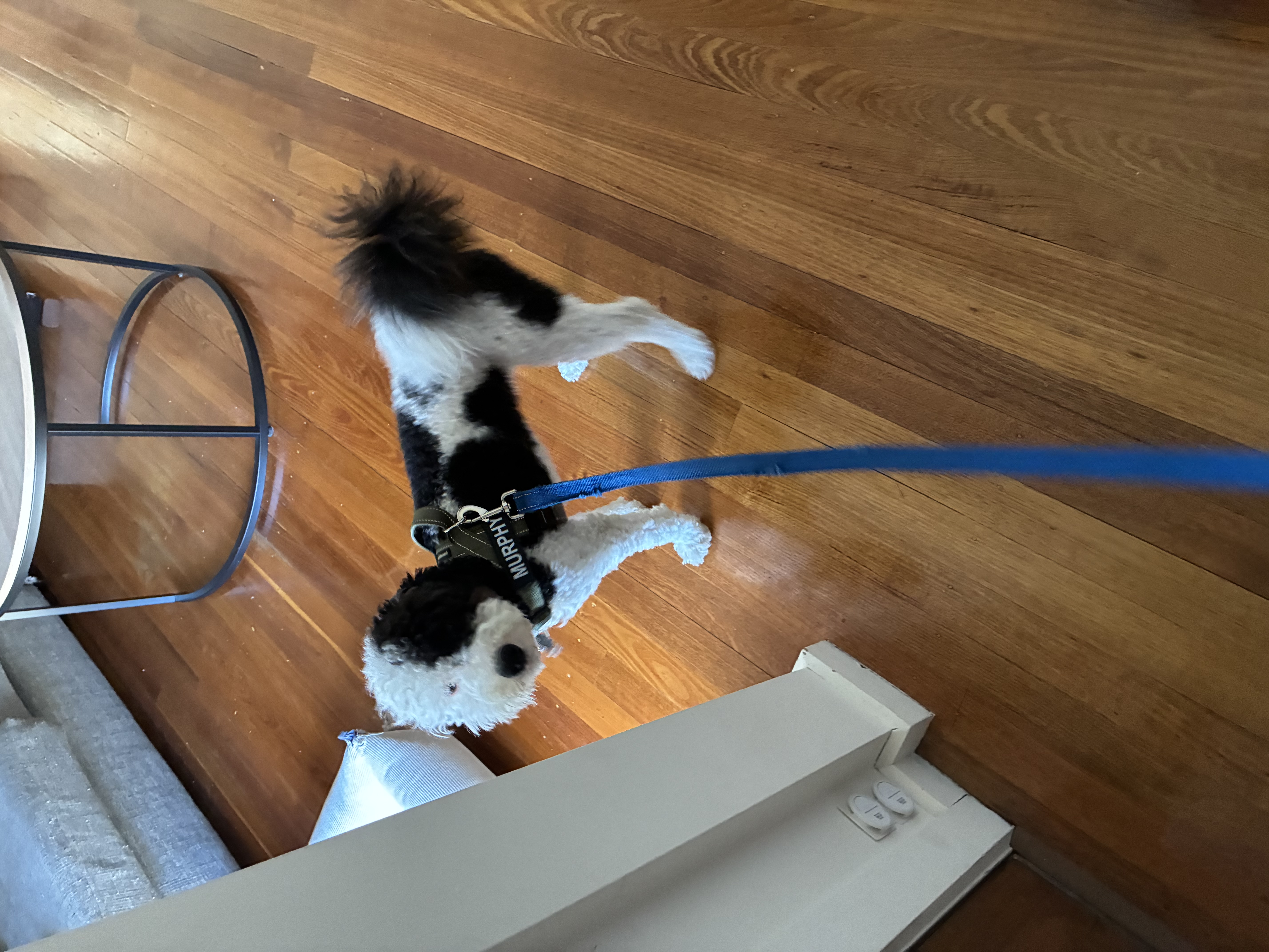 image-11
