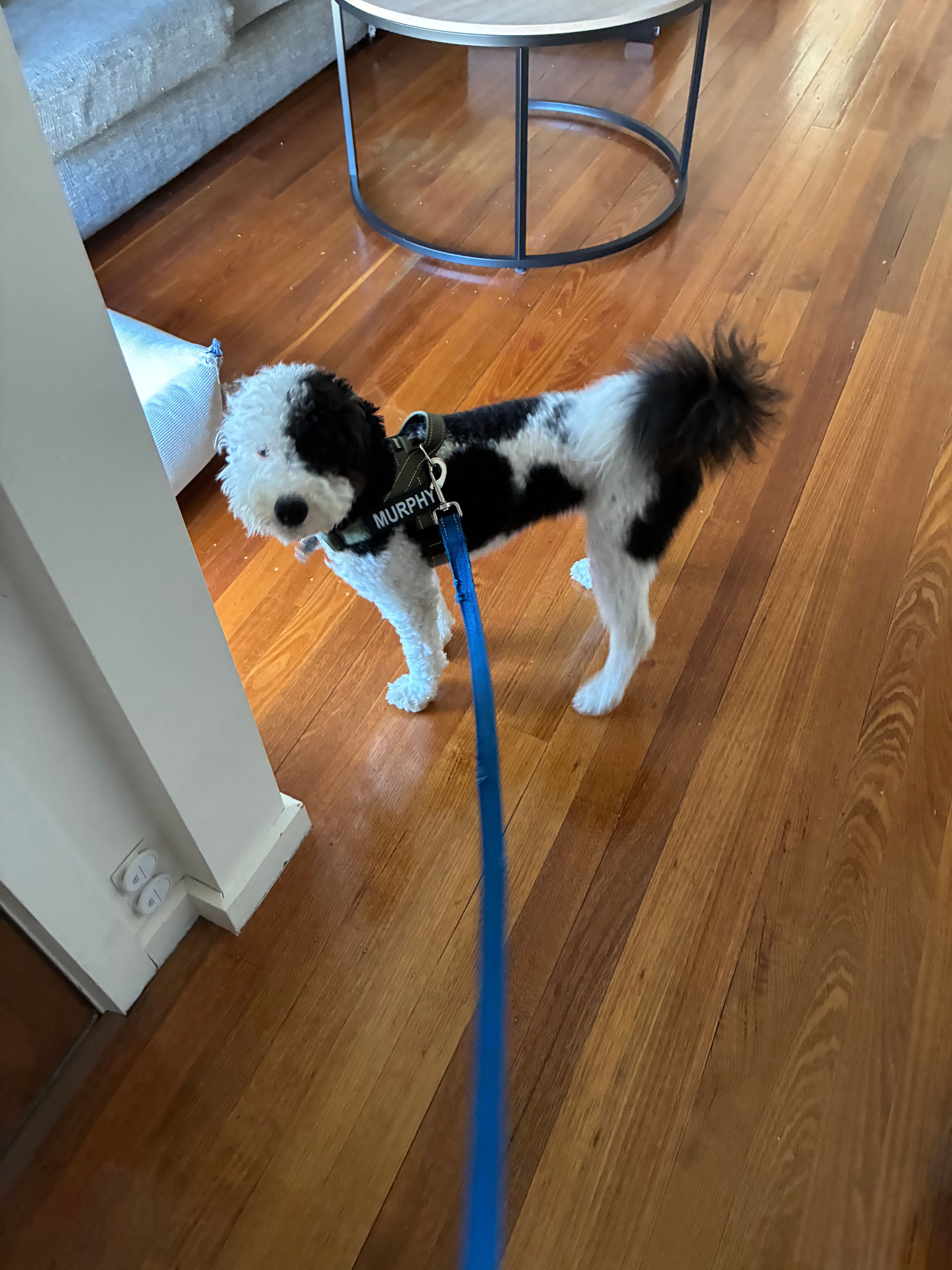 image-11